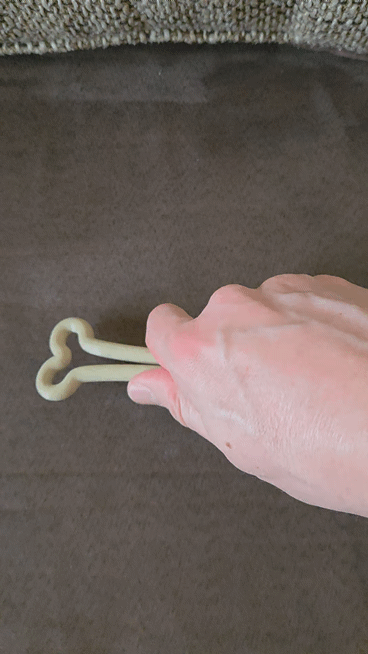 Flexible bone - pet's toy
