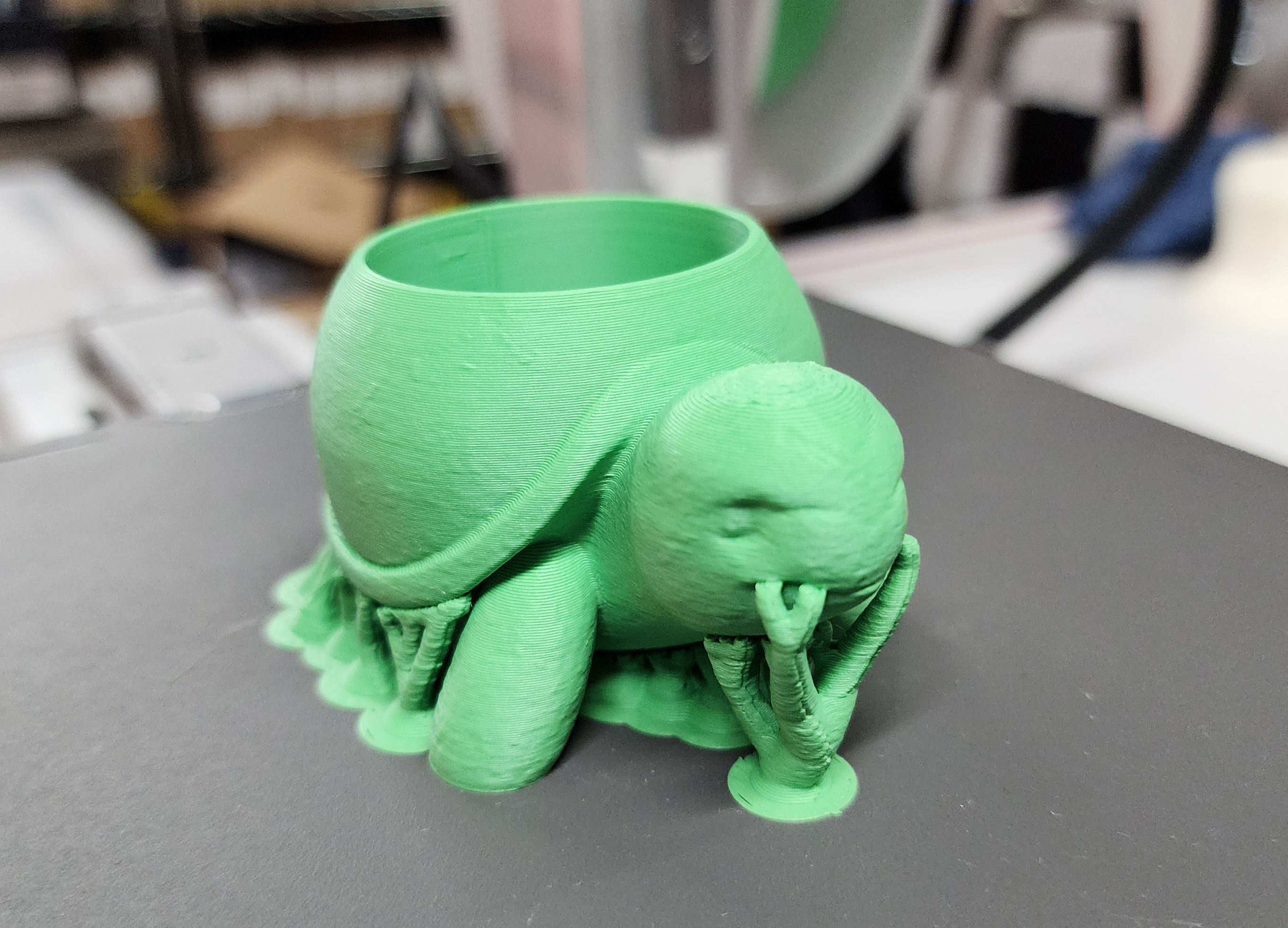 Miniatura 6 do modelo 3D Rounded Turtle Succulent Planter