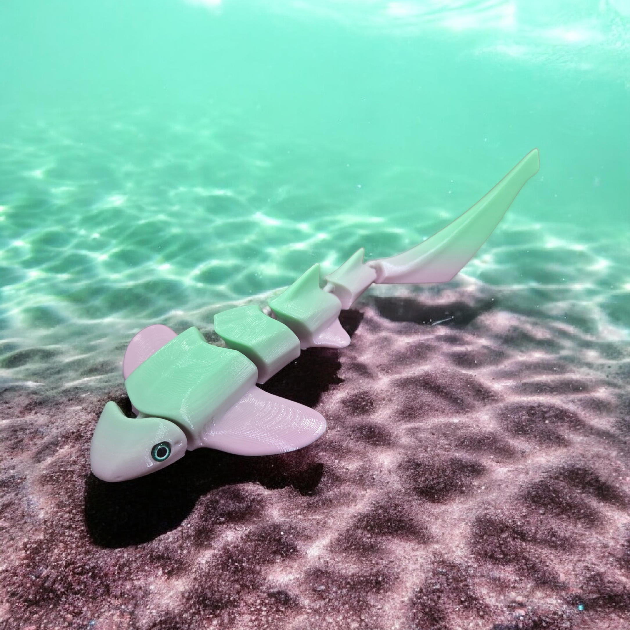 Articulated Zebra Shark - 6mm glass eye compatible