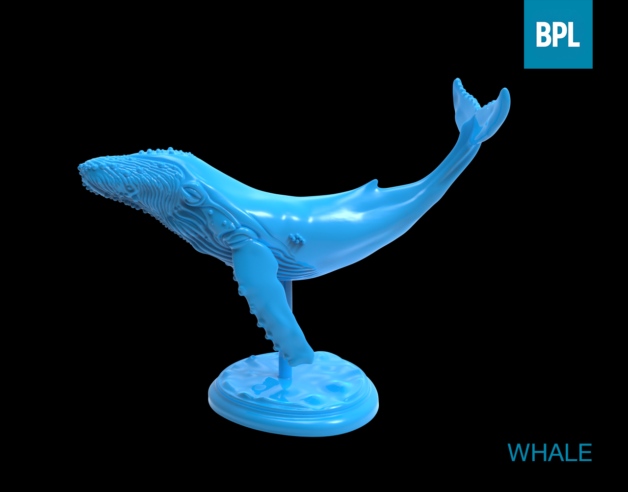 WHALE