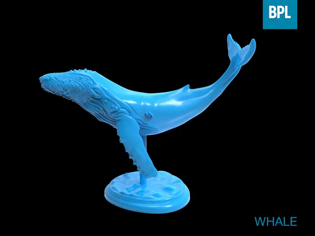 WHALE