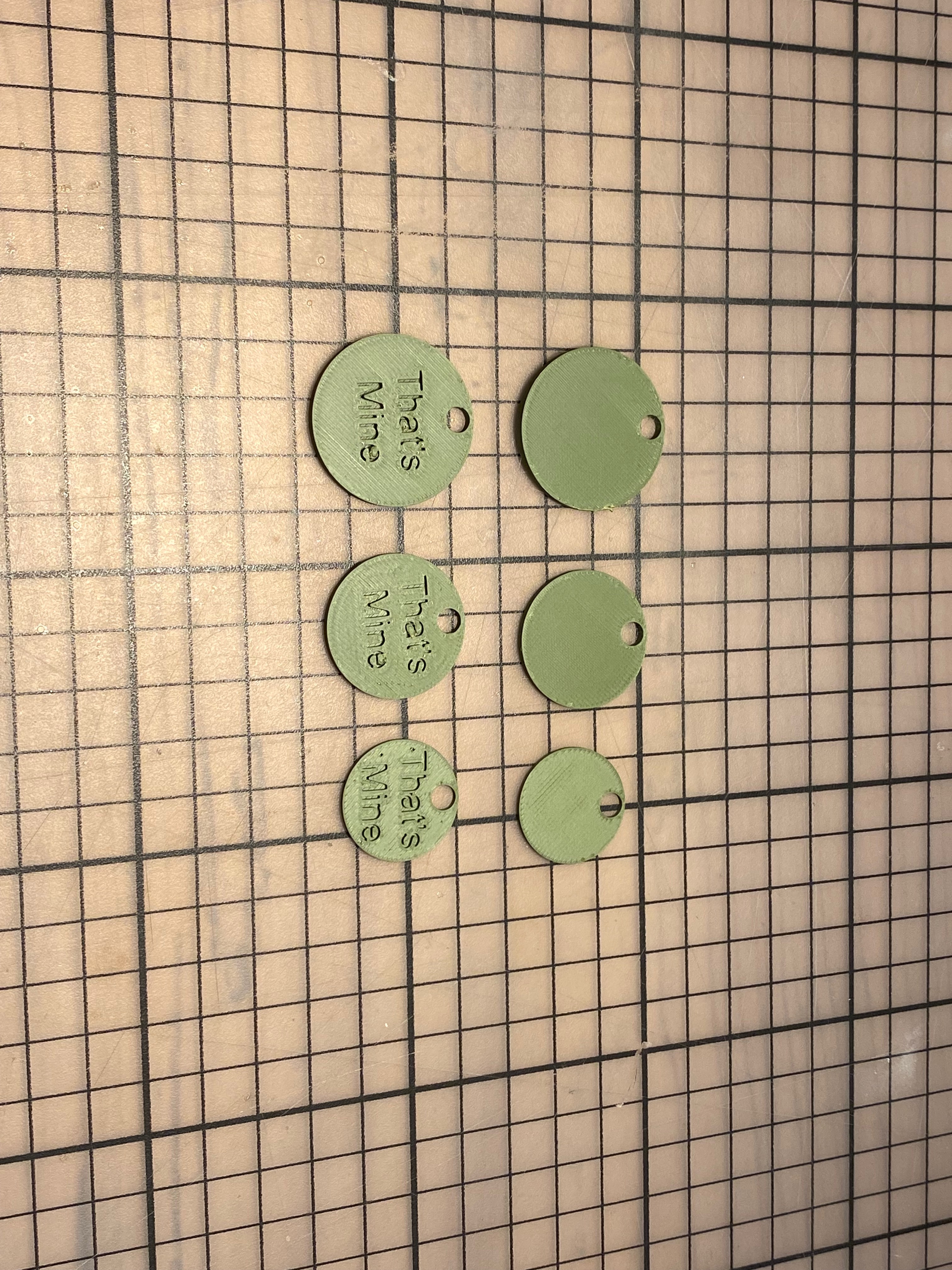 Switzerland Pocket Coin's for Keychain