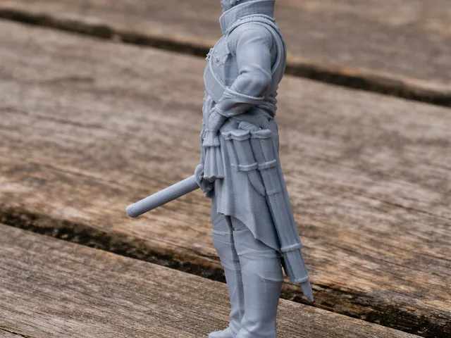 Jean Bernadotte Napoleonic Soldier