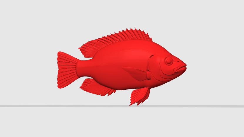 Nile Tilapia (Oreochromis niloticus)