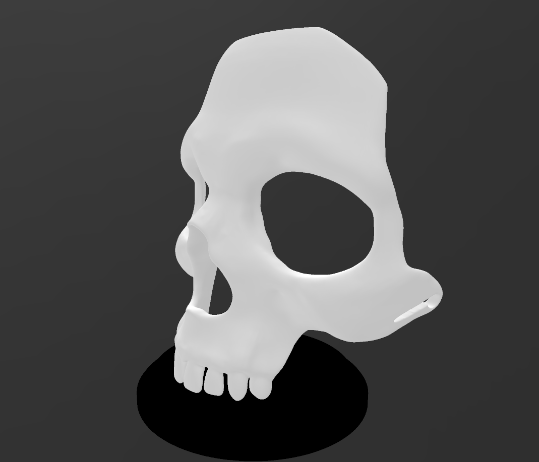 Skull With Base