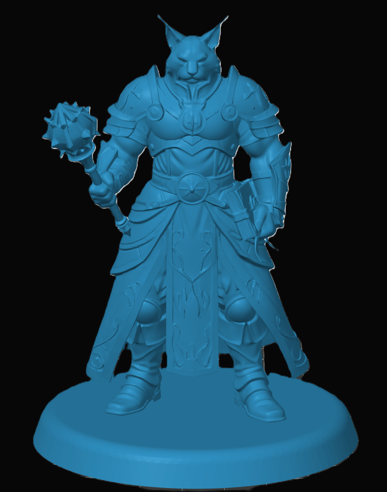 Tabaxi Cleric — miniatura 3