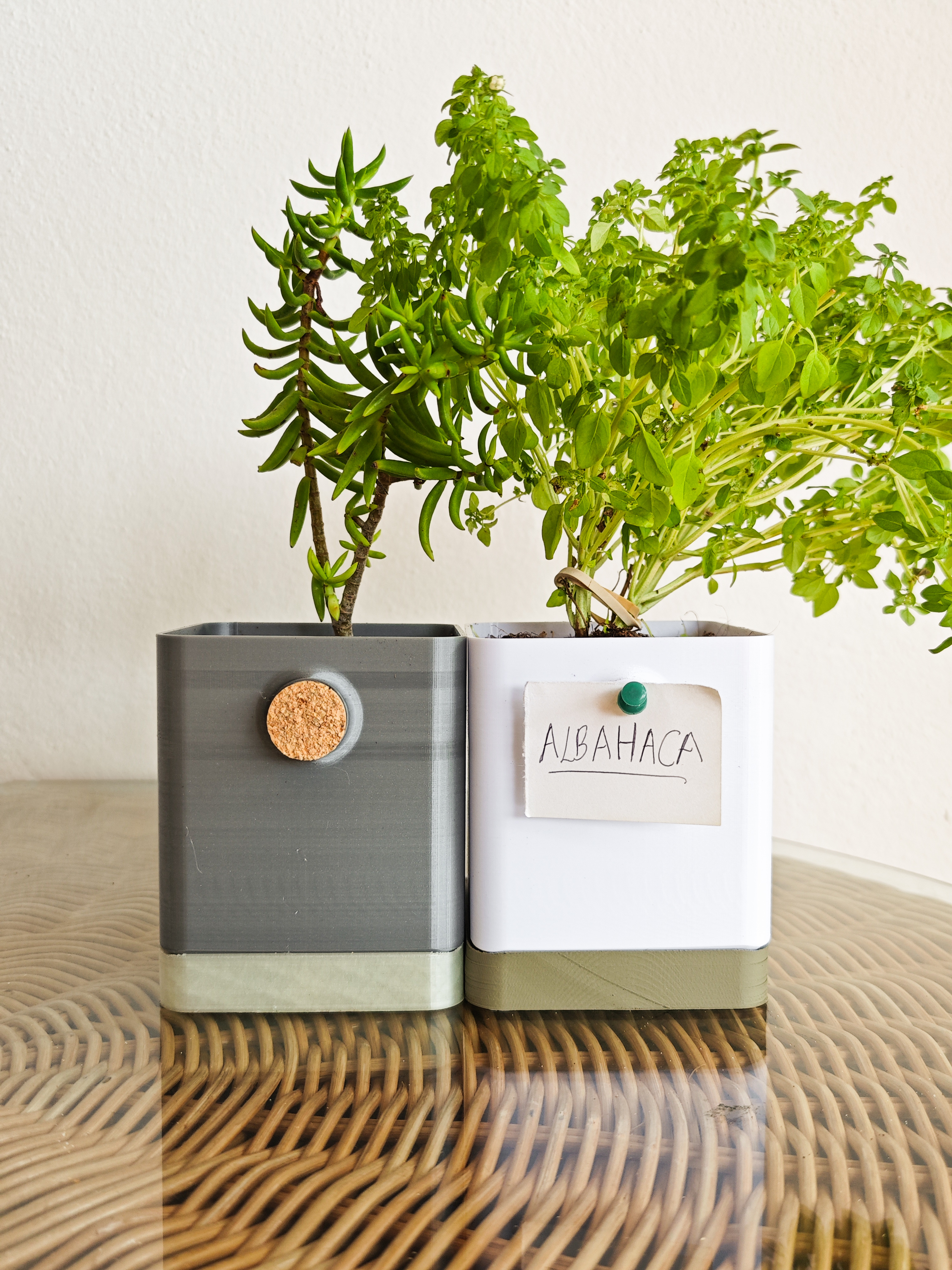 Cork Planter — miniatura 5