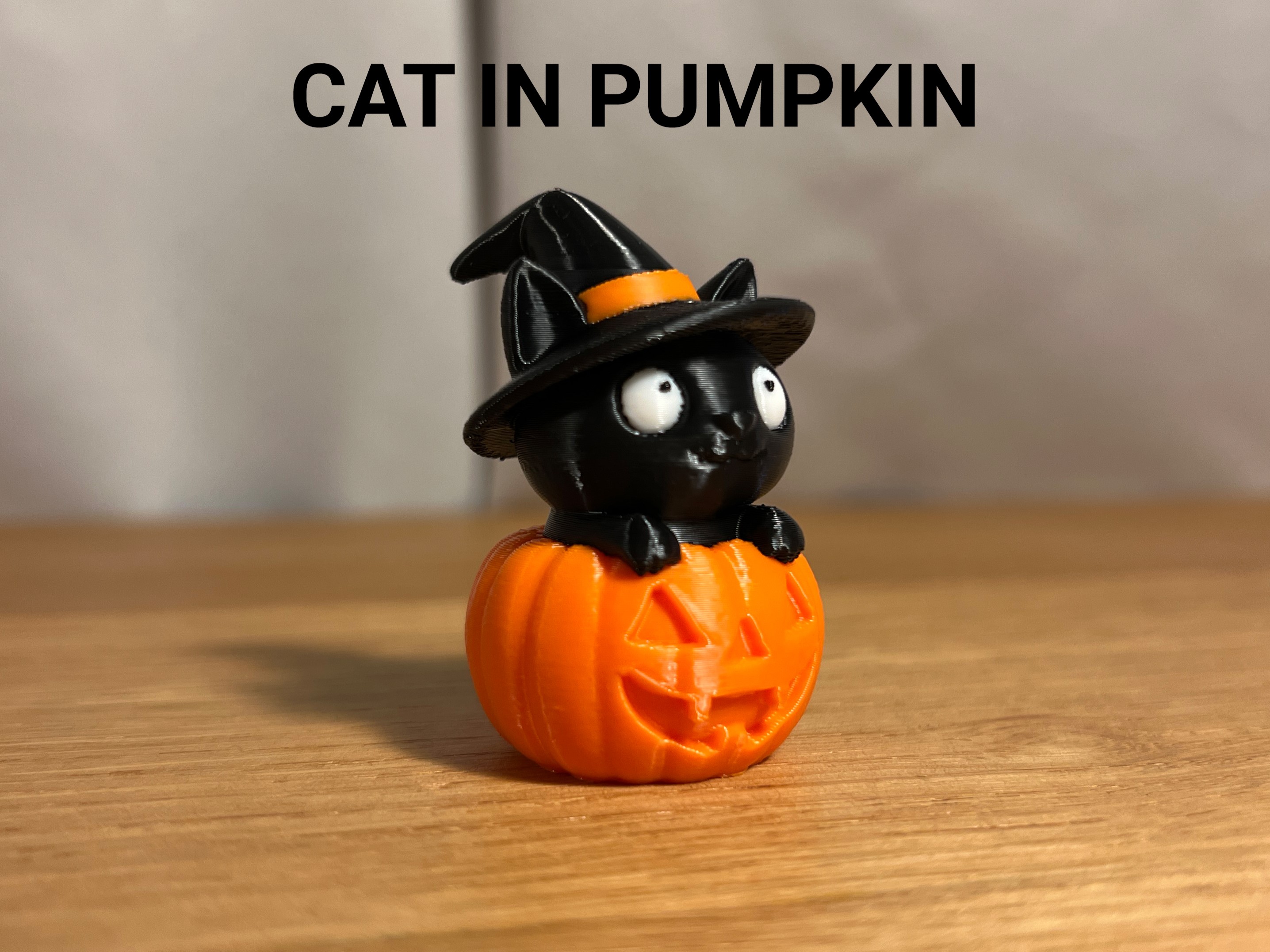 Cat in Pumpkin