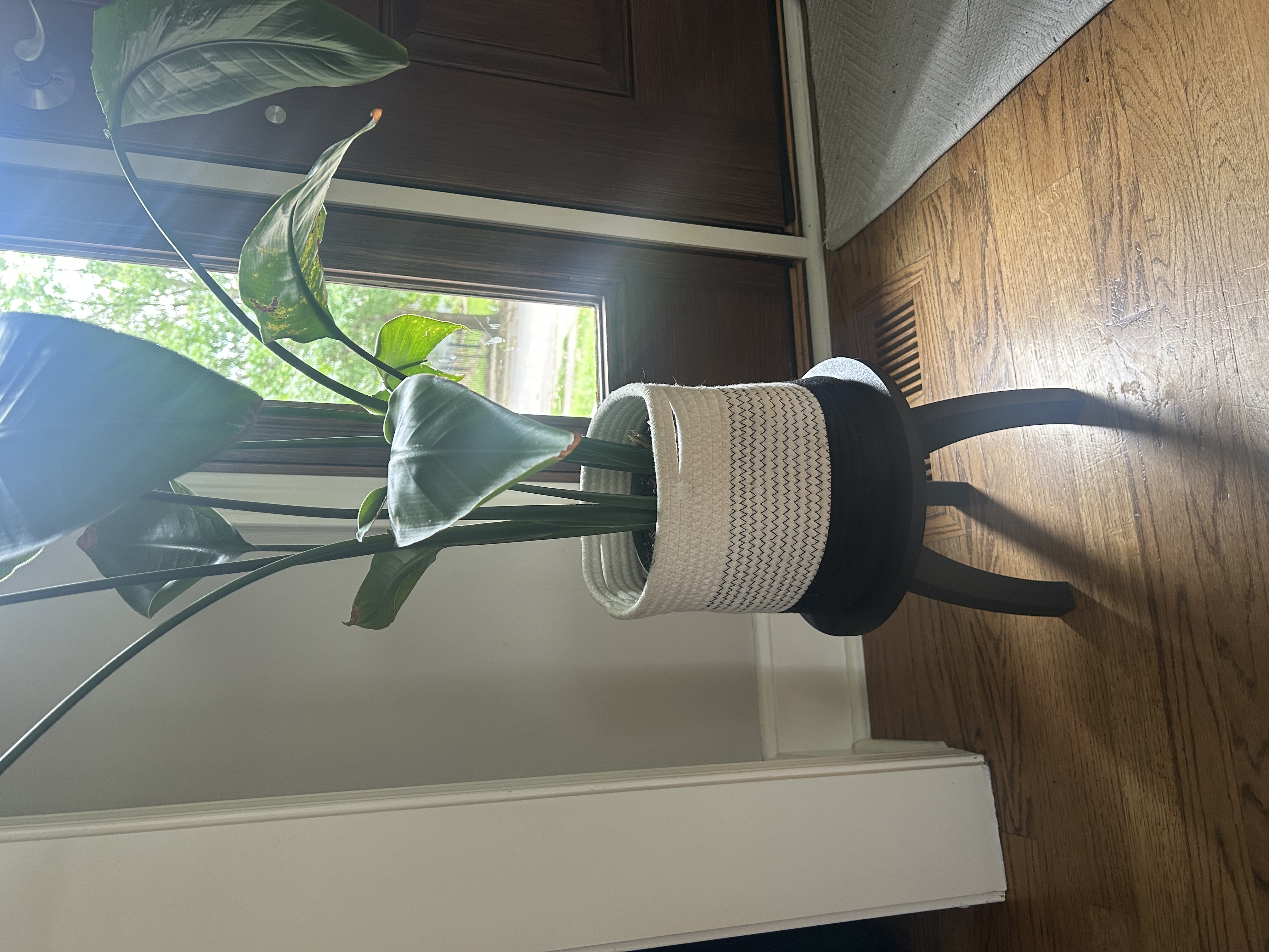 3-Legged Plant Stand