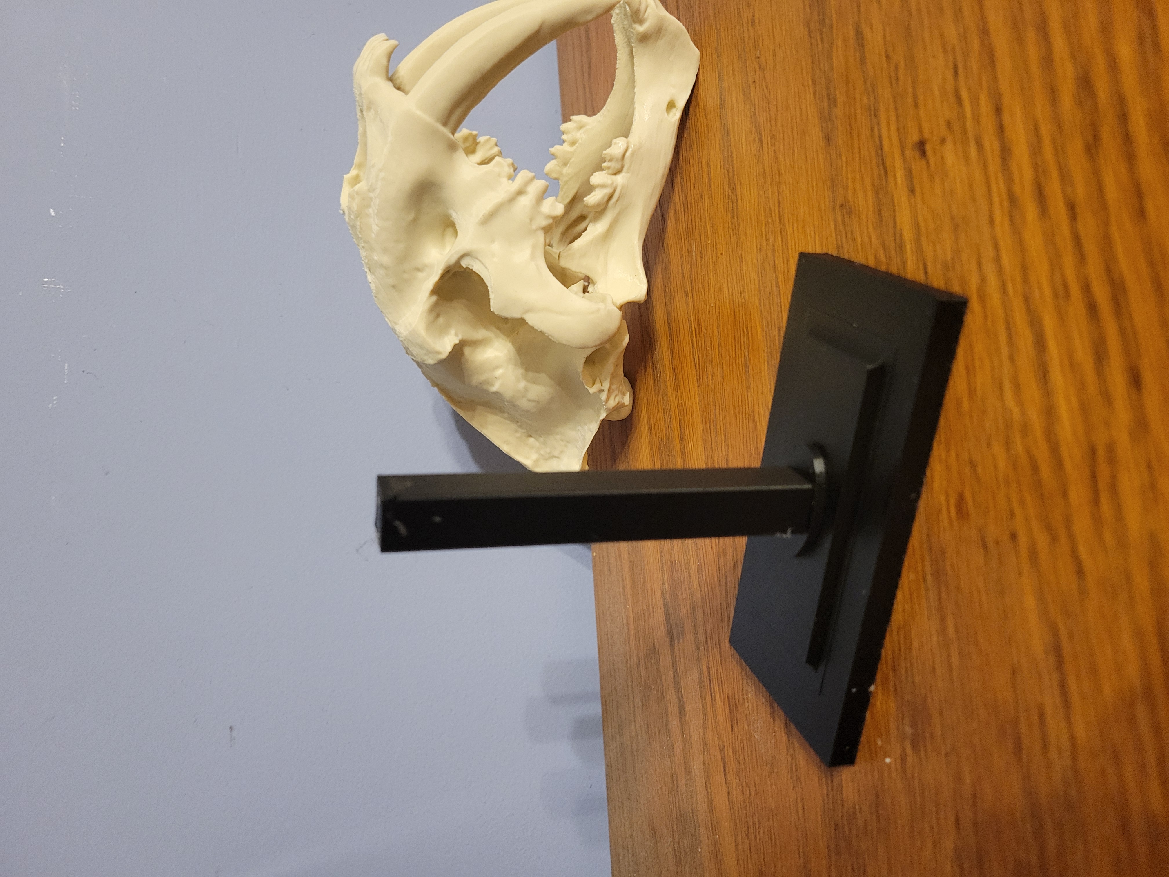 Base and post model support