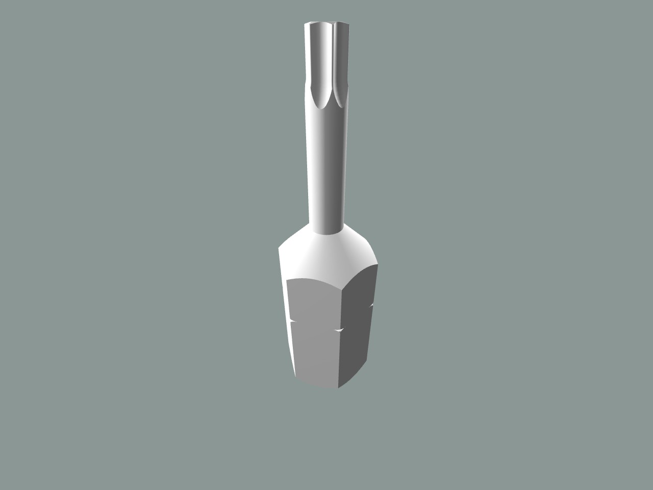 Tamper Resestant Torx Head/Screwdriver