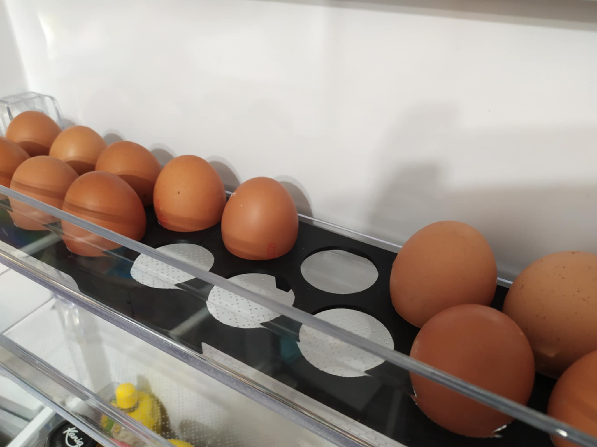 Egg holder for the refrigerator