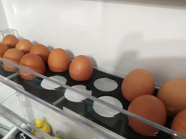 Egg holder for the refrigerator