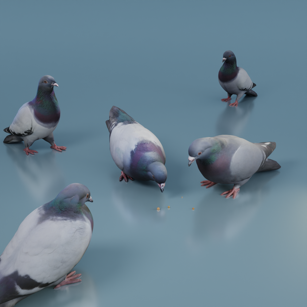 Realistic pigeons in 6 poses