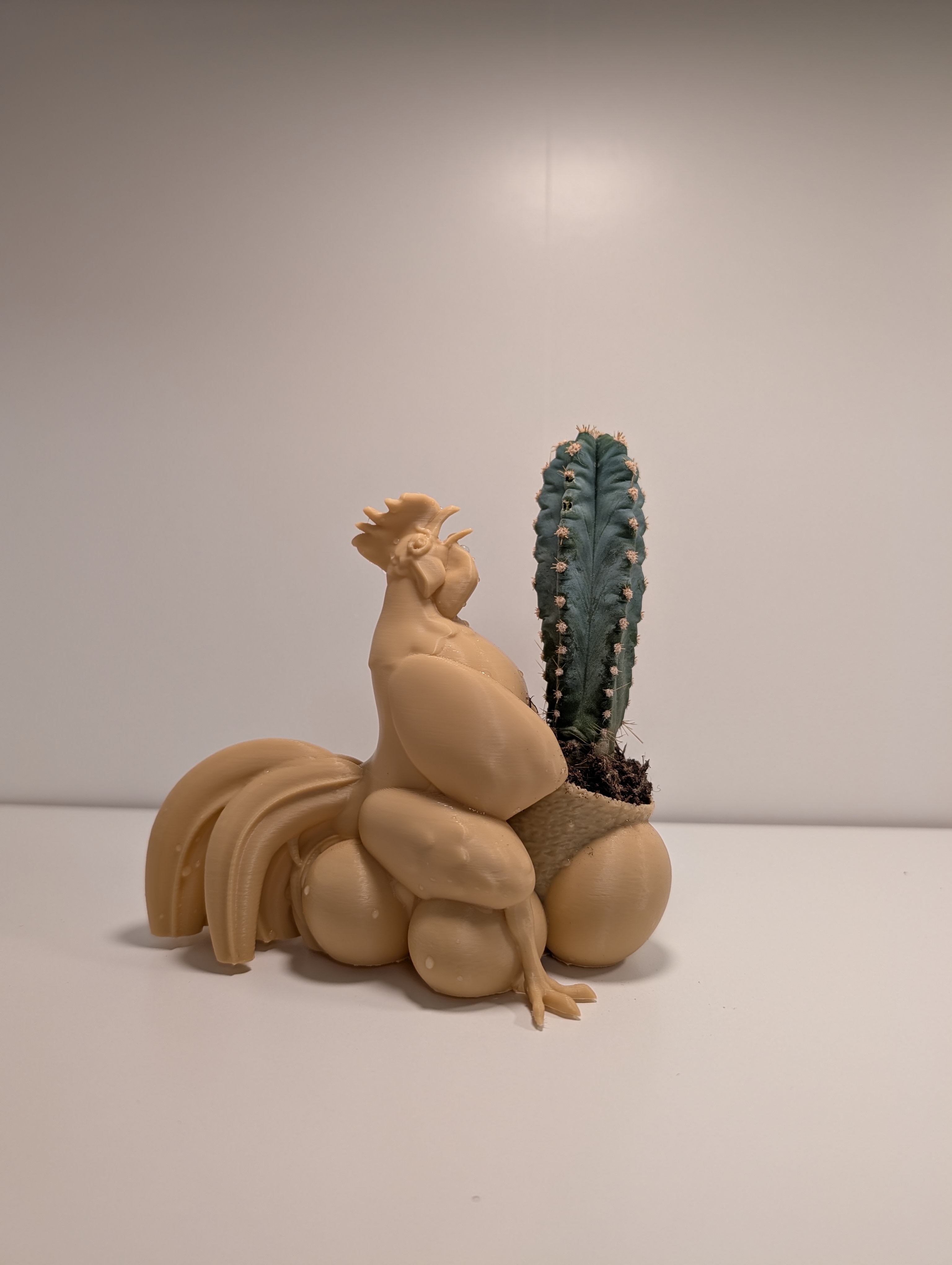 Cocktus pot - rooster cactus pot