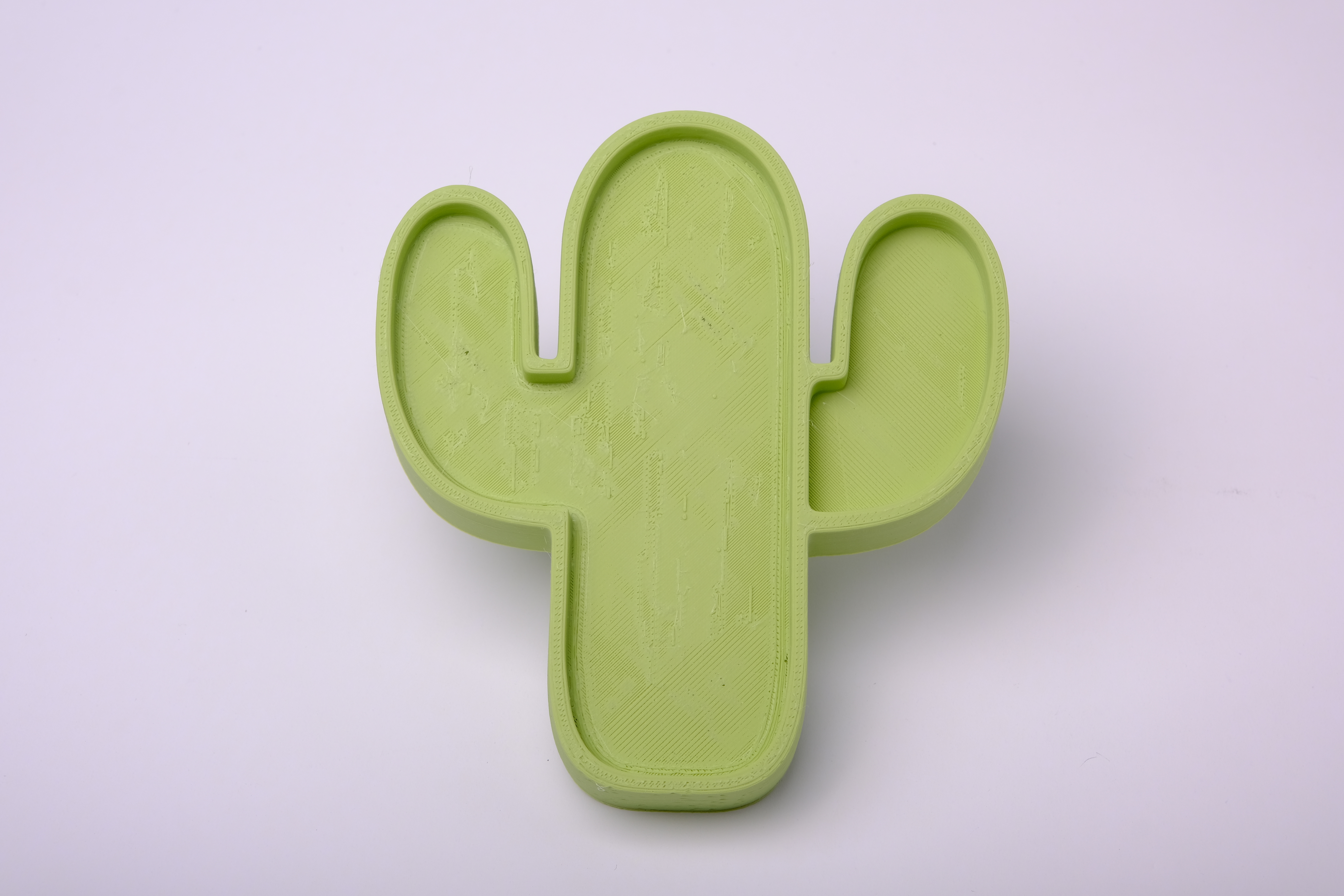 Saguaro Catchall — miniatura 2