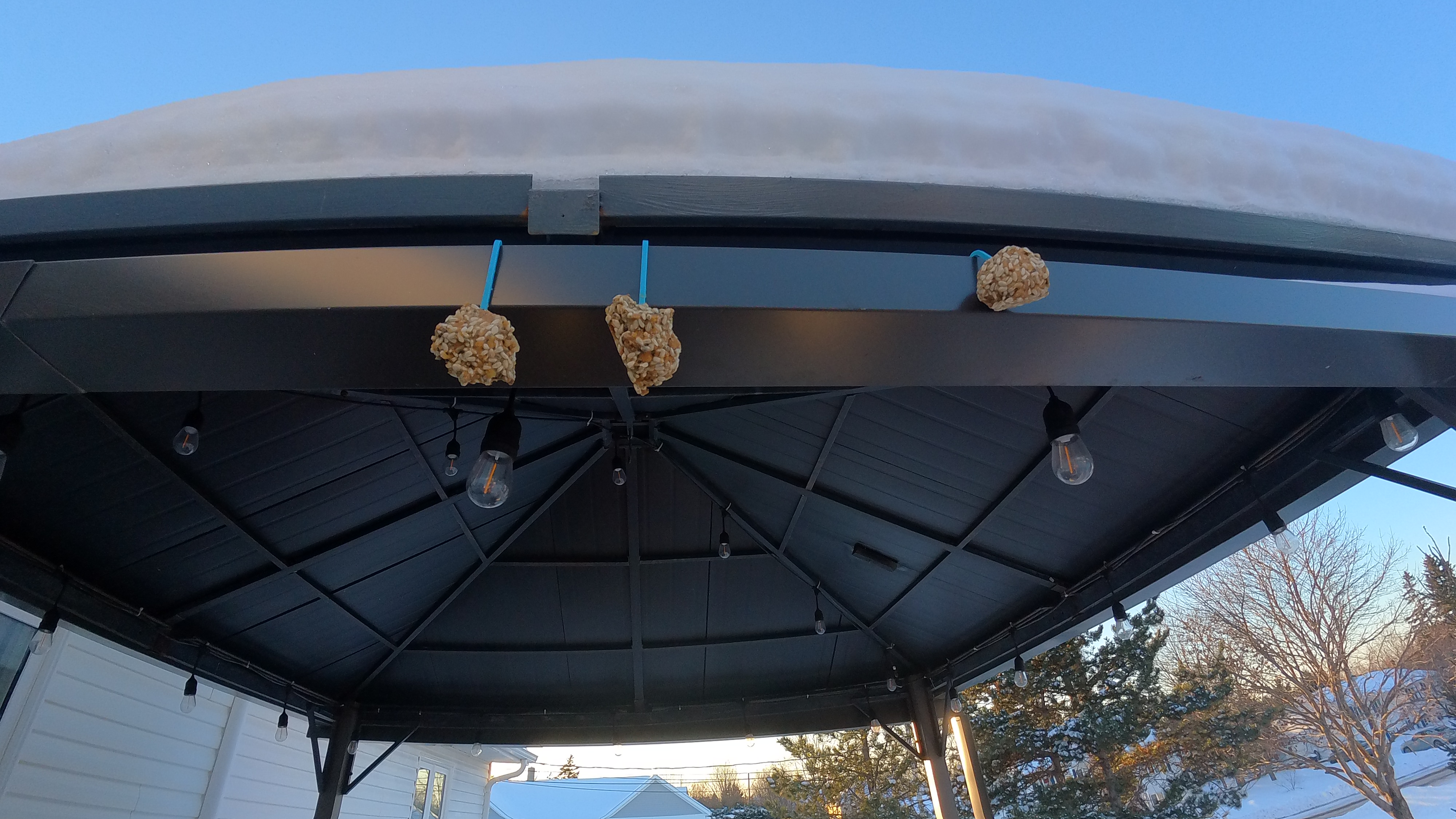 quick print bird feeder with hook — miniatura 3