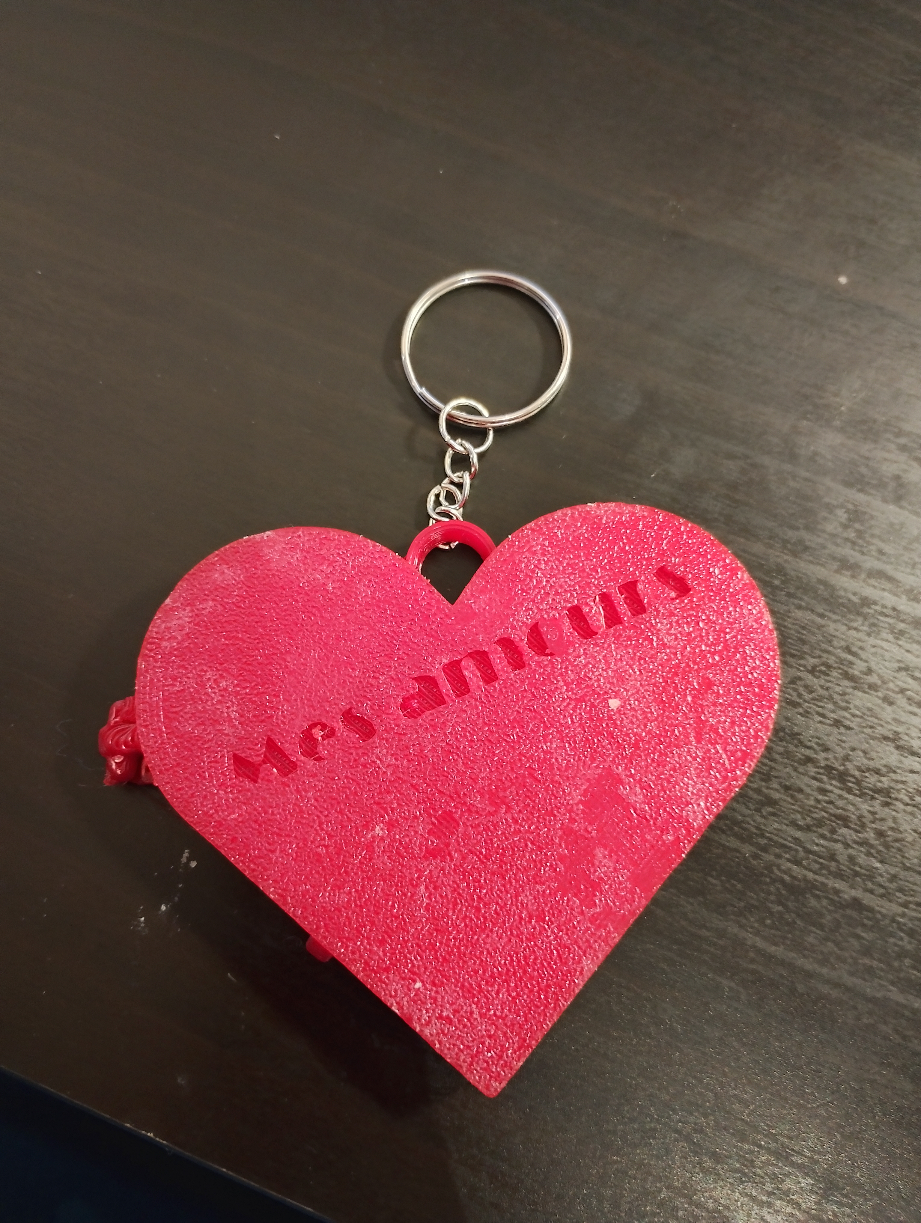 Heart Photo Keychain – “Mes amours” - My Lovers
