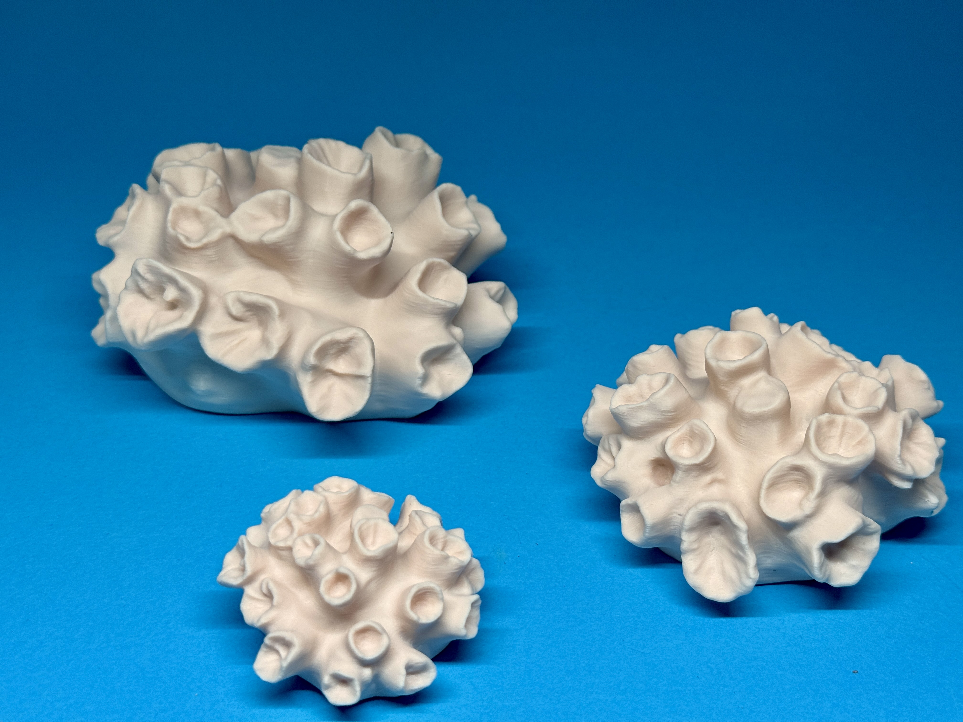 scanned Coral #10 in 3 sizes