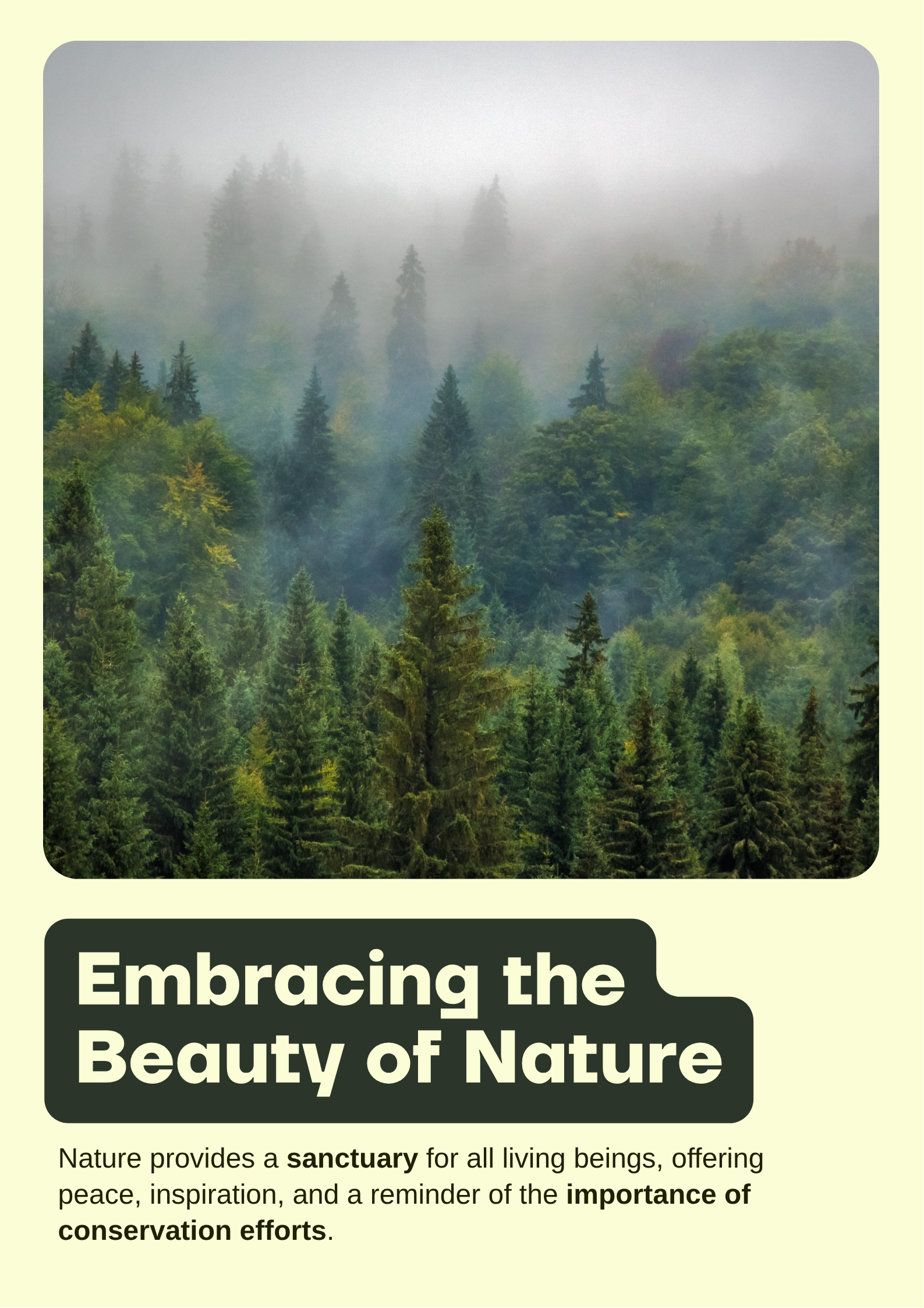 A design about nature