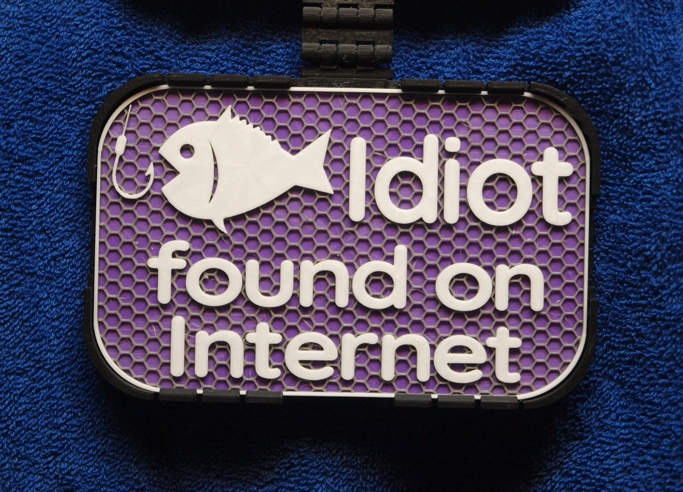 Idiot found on Internet sign