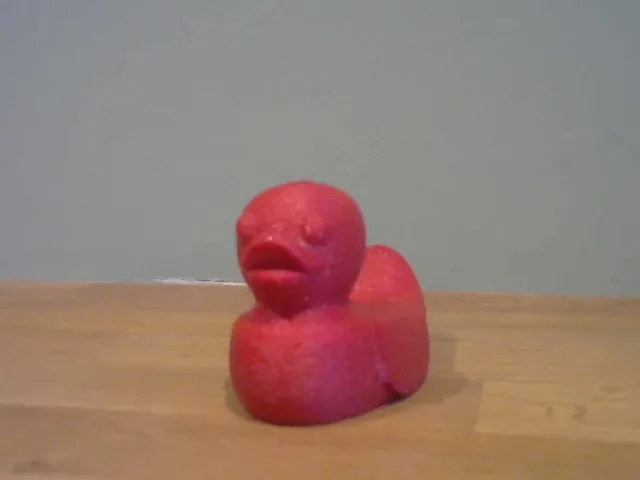 Floating Rubber Duck