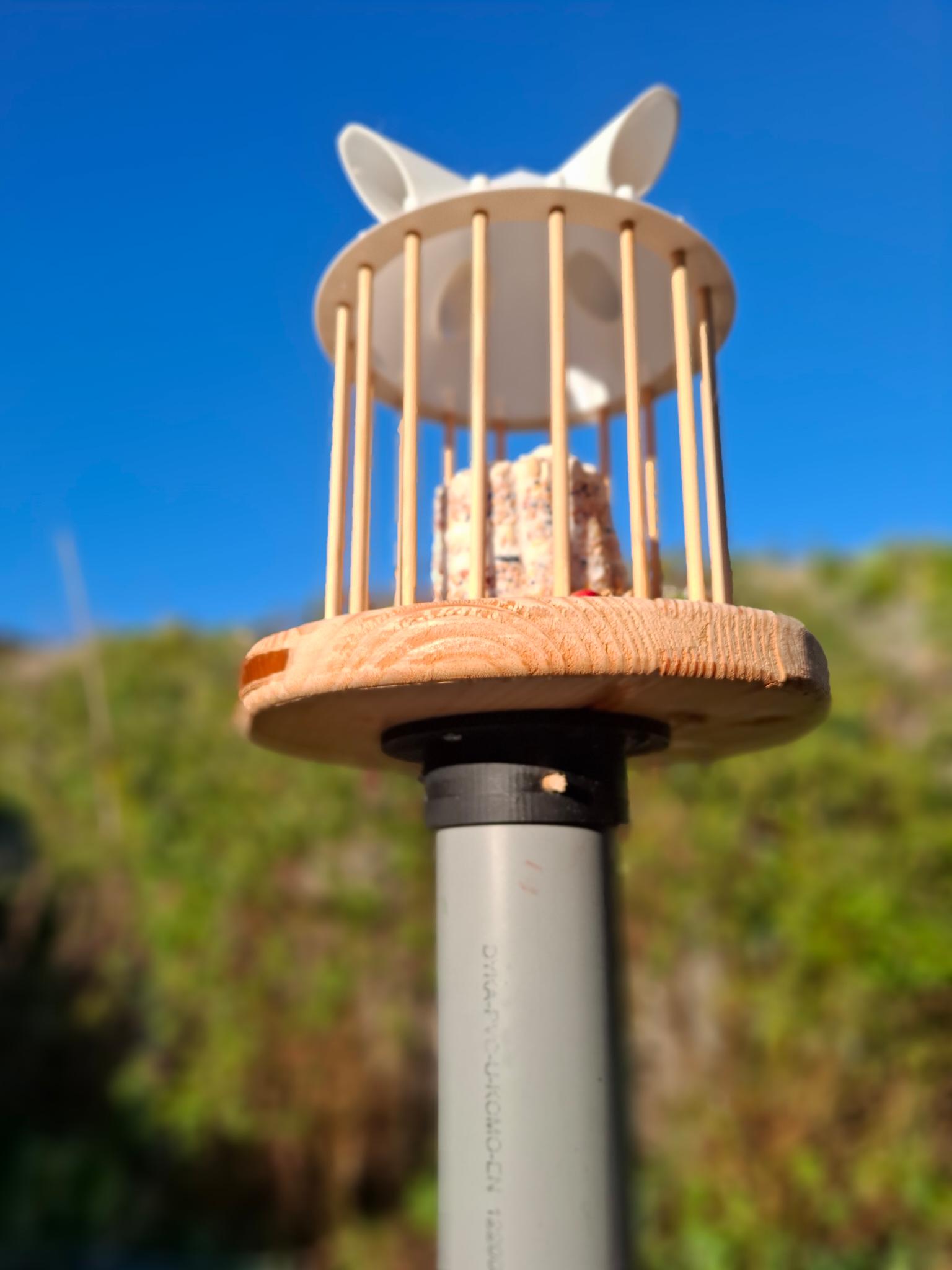 birdfeeder — thumbnail 2