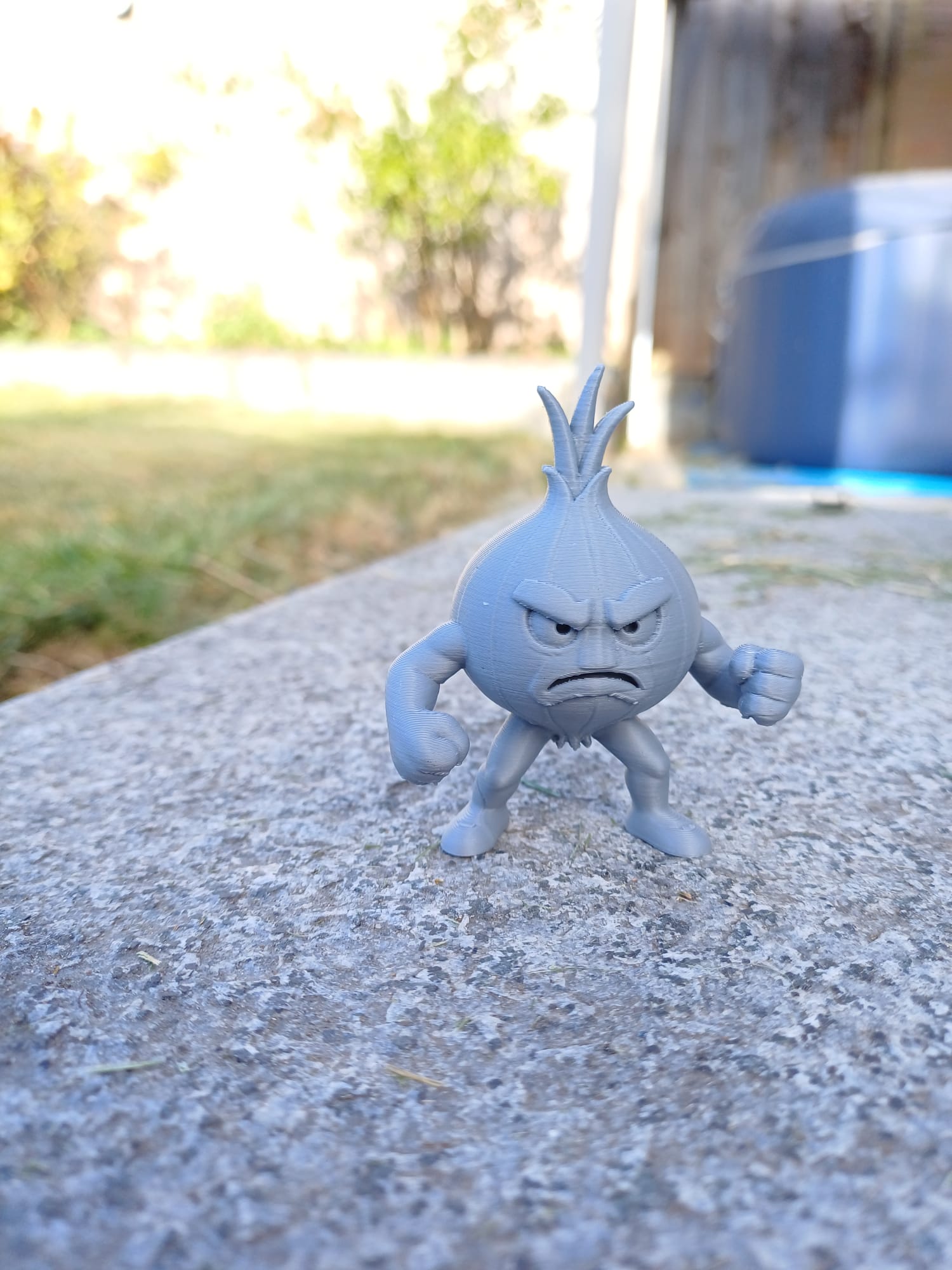 Angry Onion