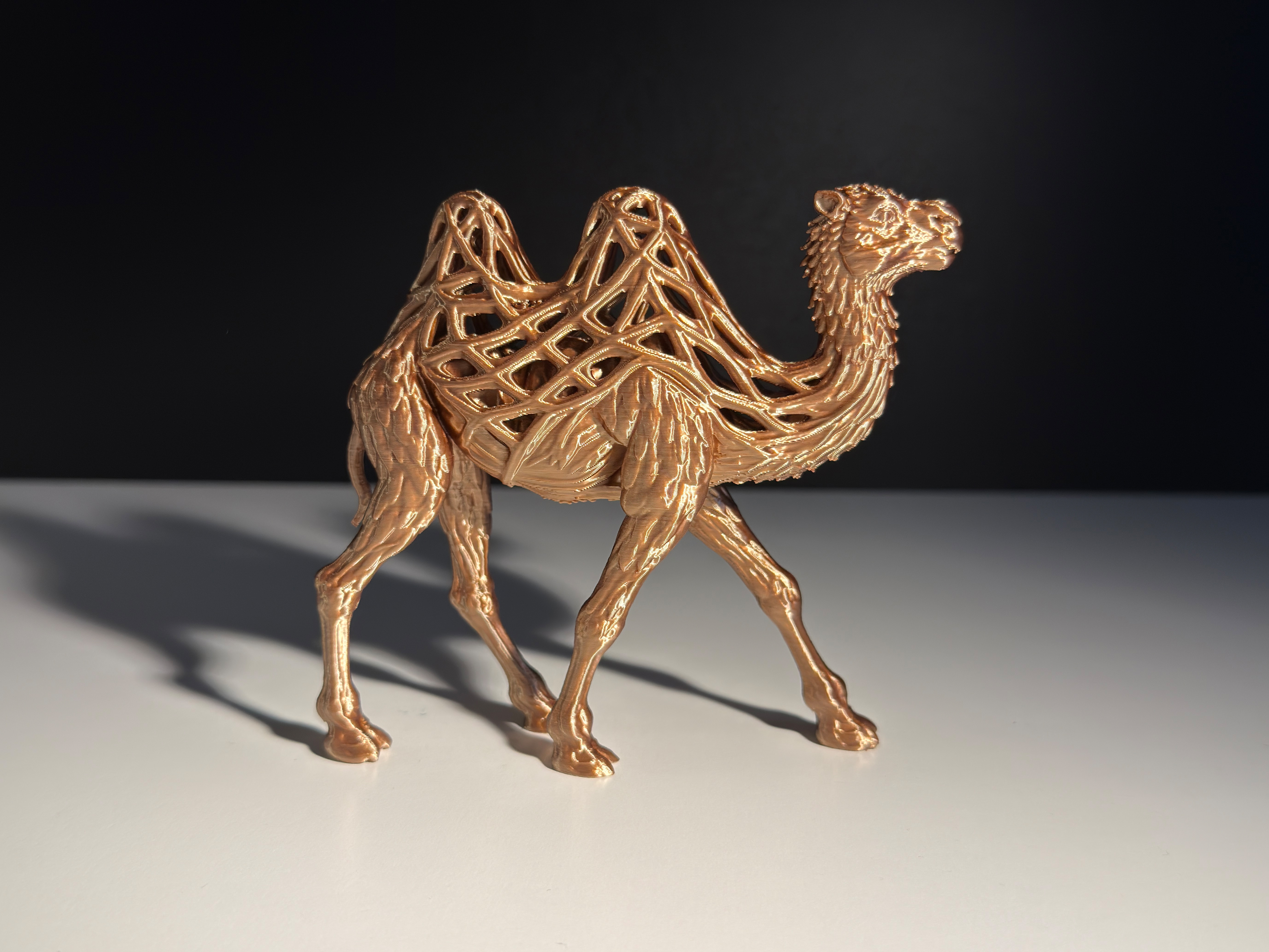 Camel