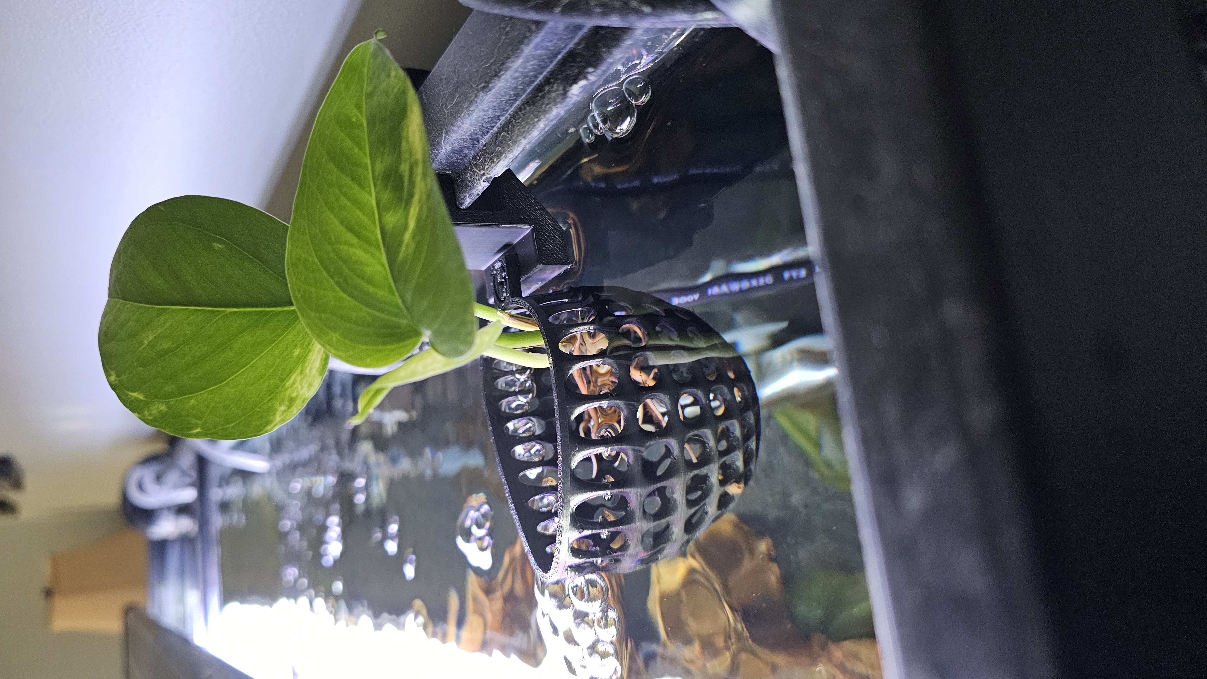 Remixed for rimmed tank adapter