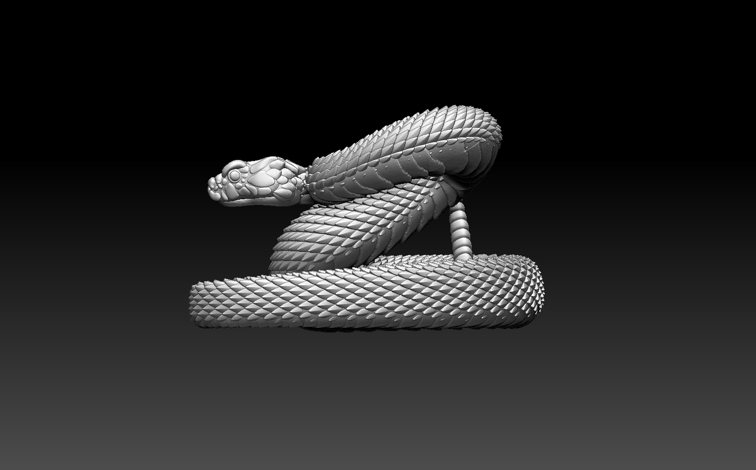 snakes — miniatura 23