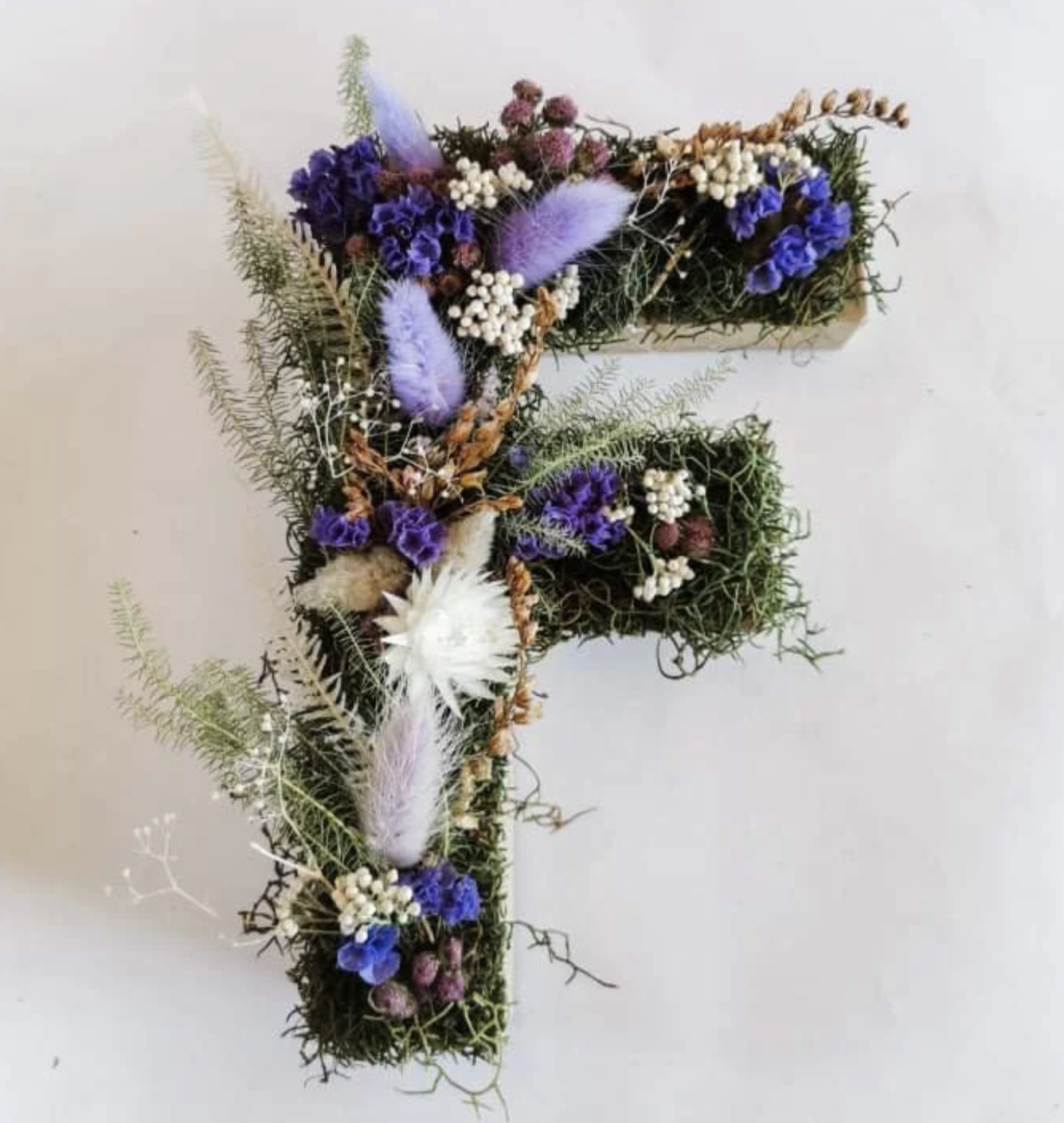 Macetero letras iniciales F plantas planta flores