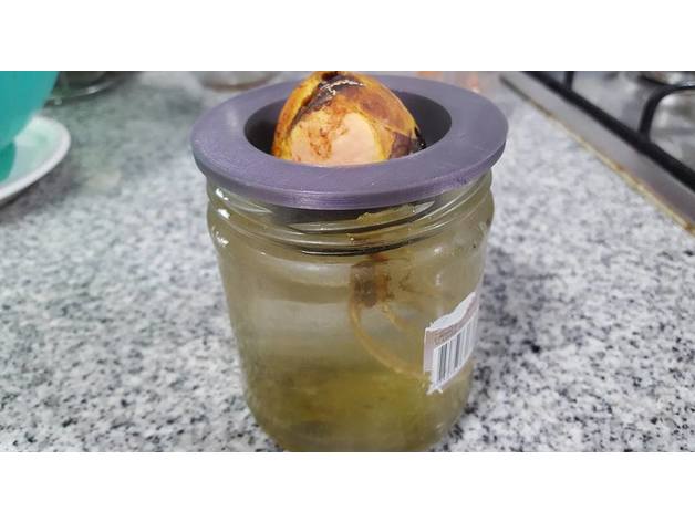hydrophonic avocado coarse holder