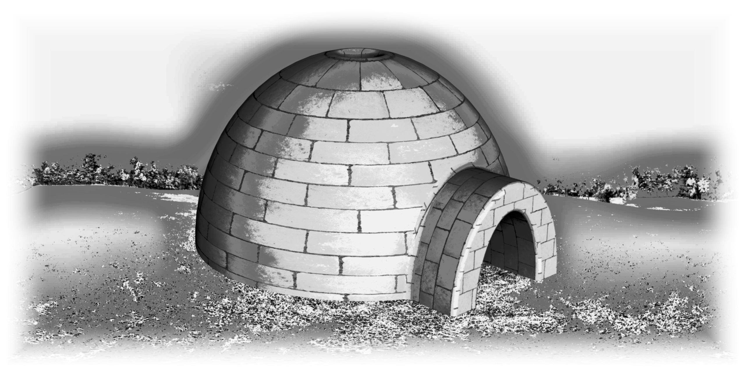 Igloo