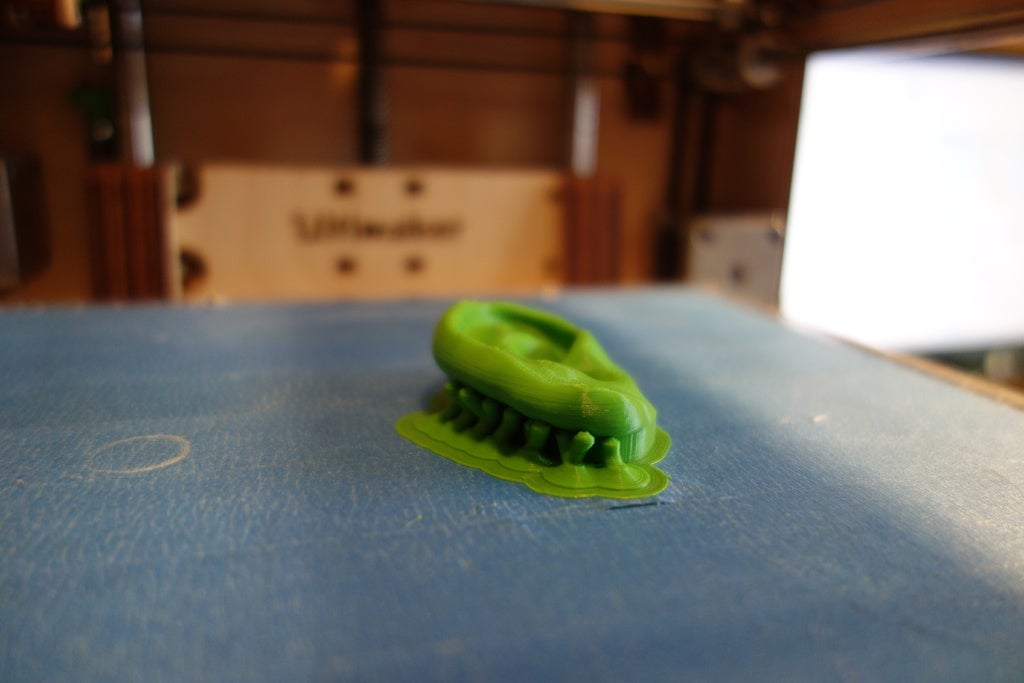 Miniatura 2 do modelo 3D Human Wall Ear