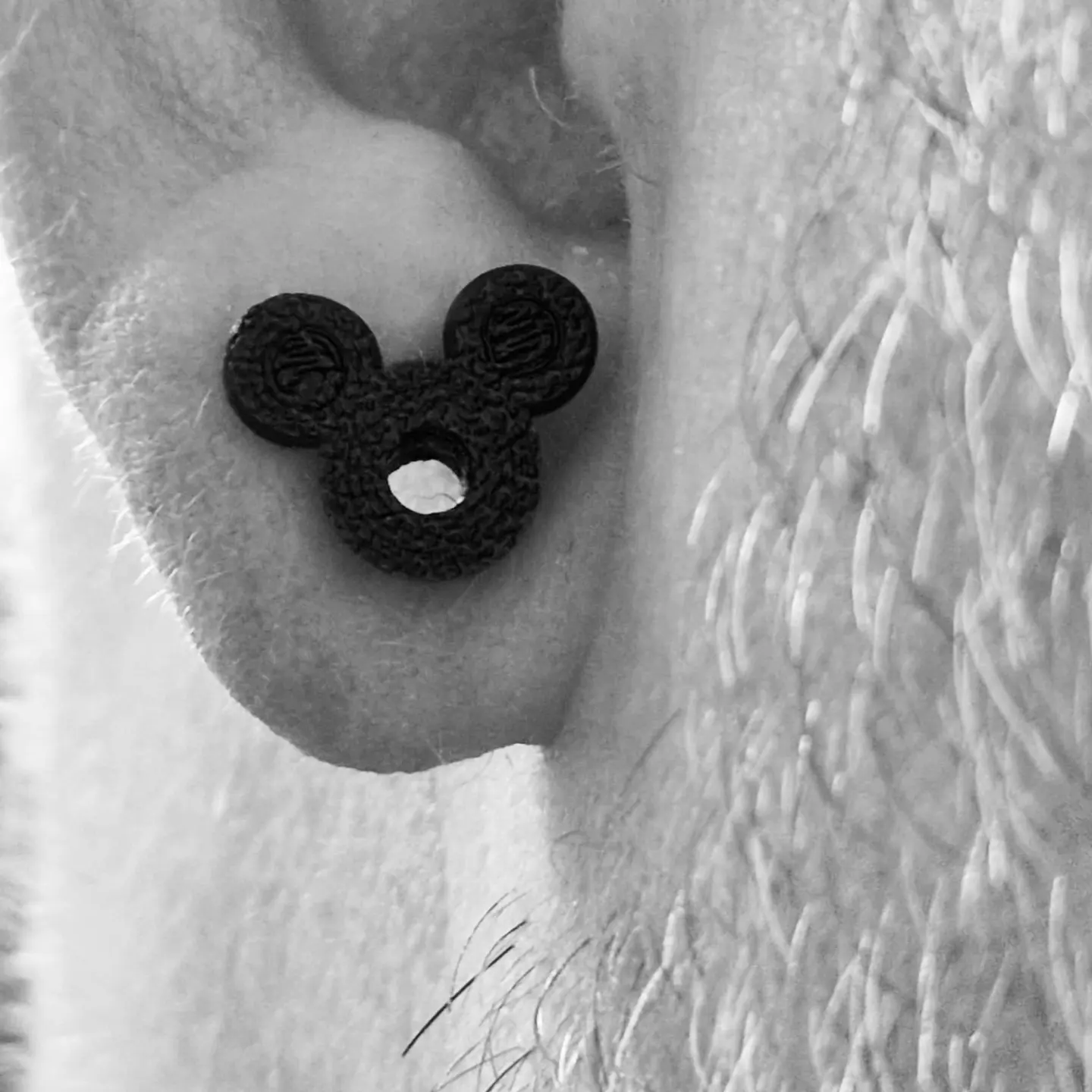 DISNEY MICKEY MOUSE OHR PLUGS TUNNEL by Tims_3d_world Download free