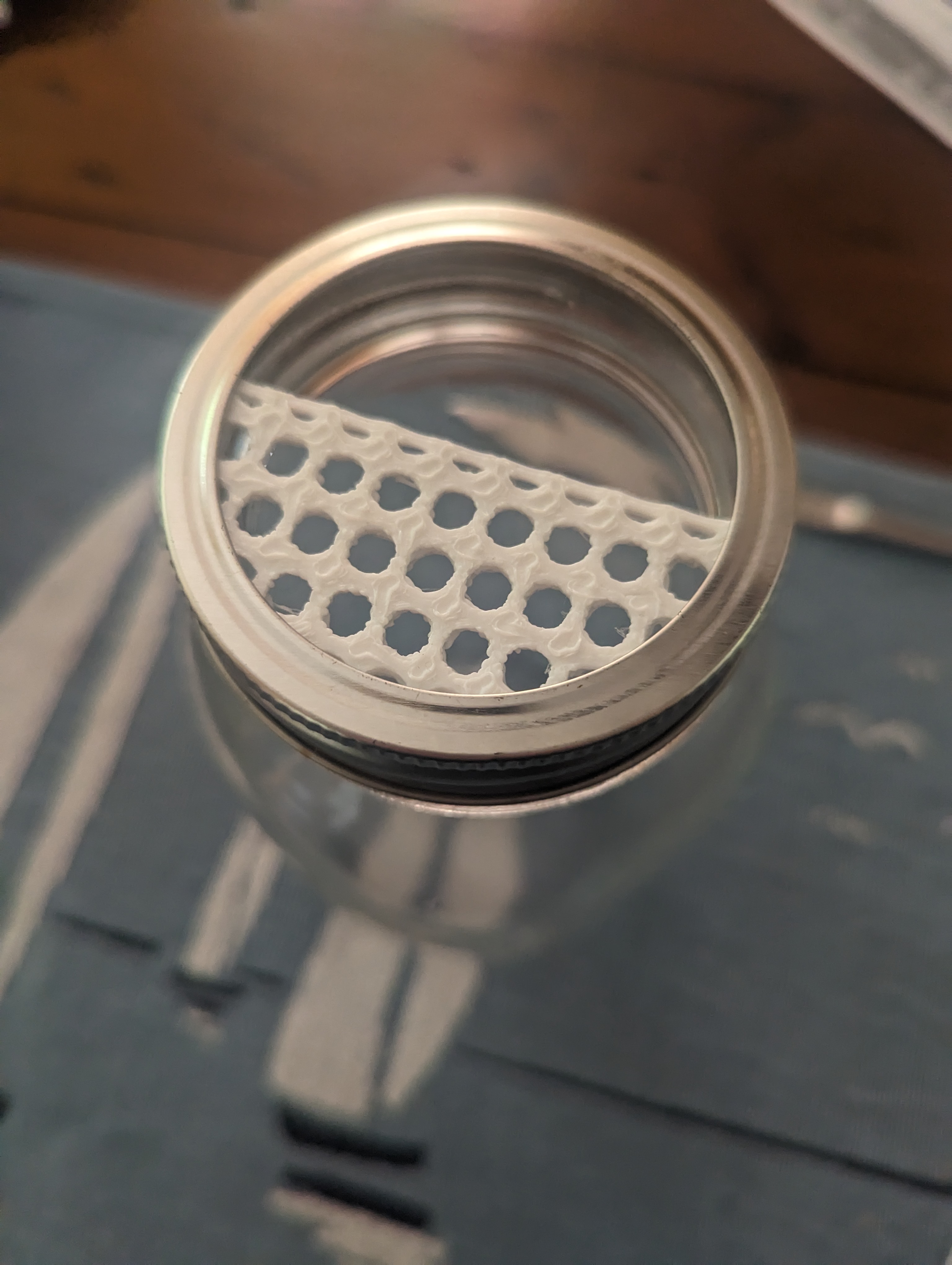 Mason Jar Strainer Lid by BinduBunny Download free STL model