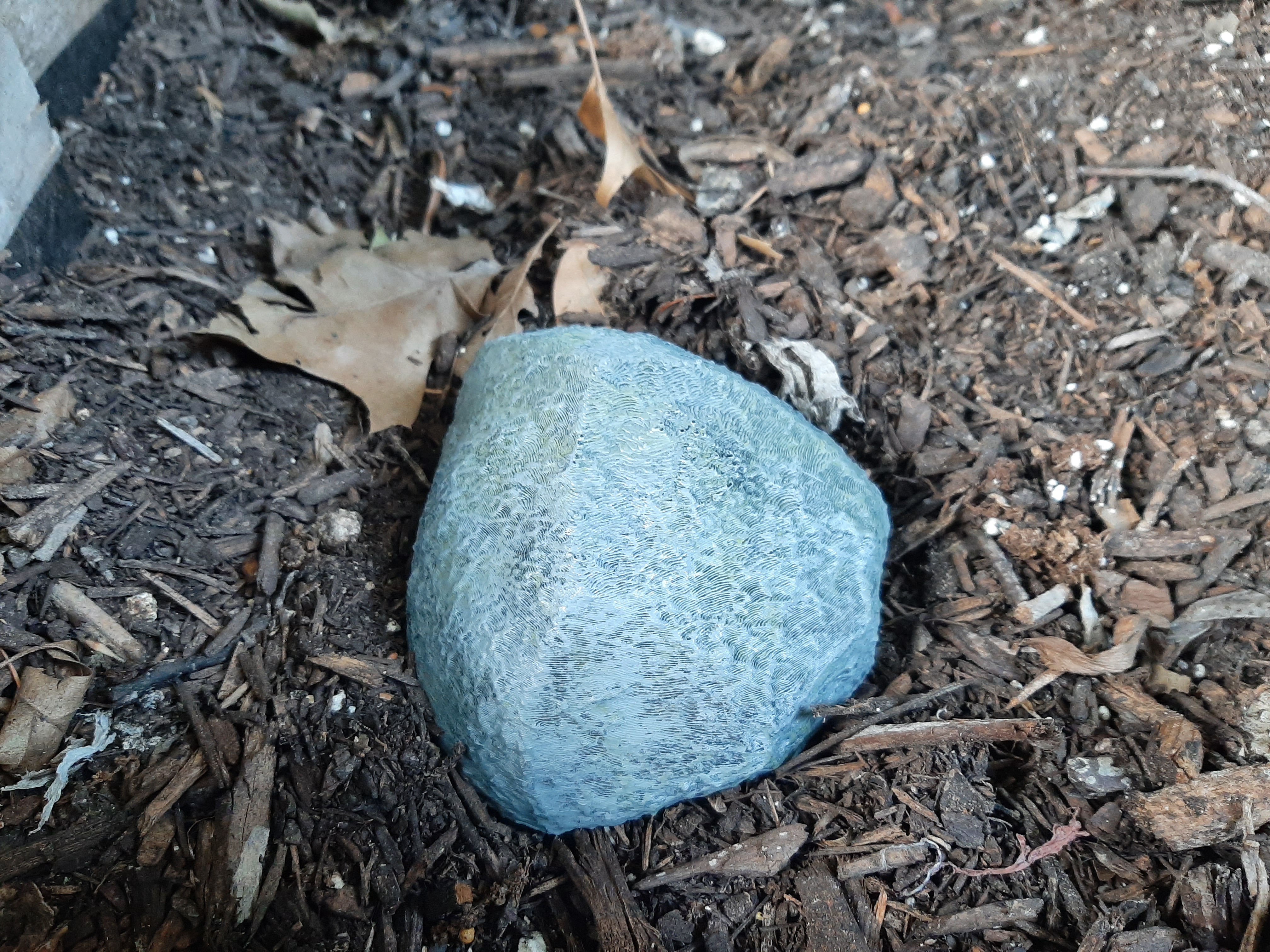 Stash Jar Rock Lid