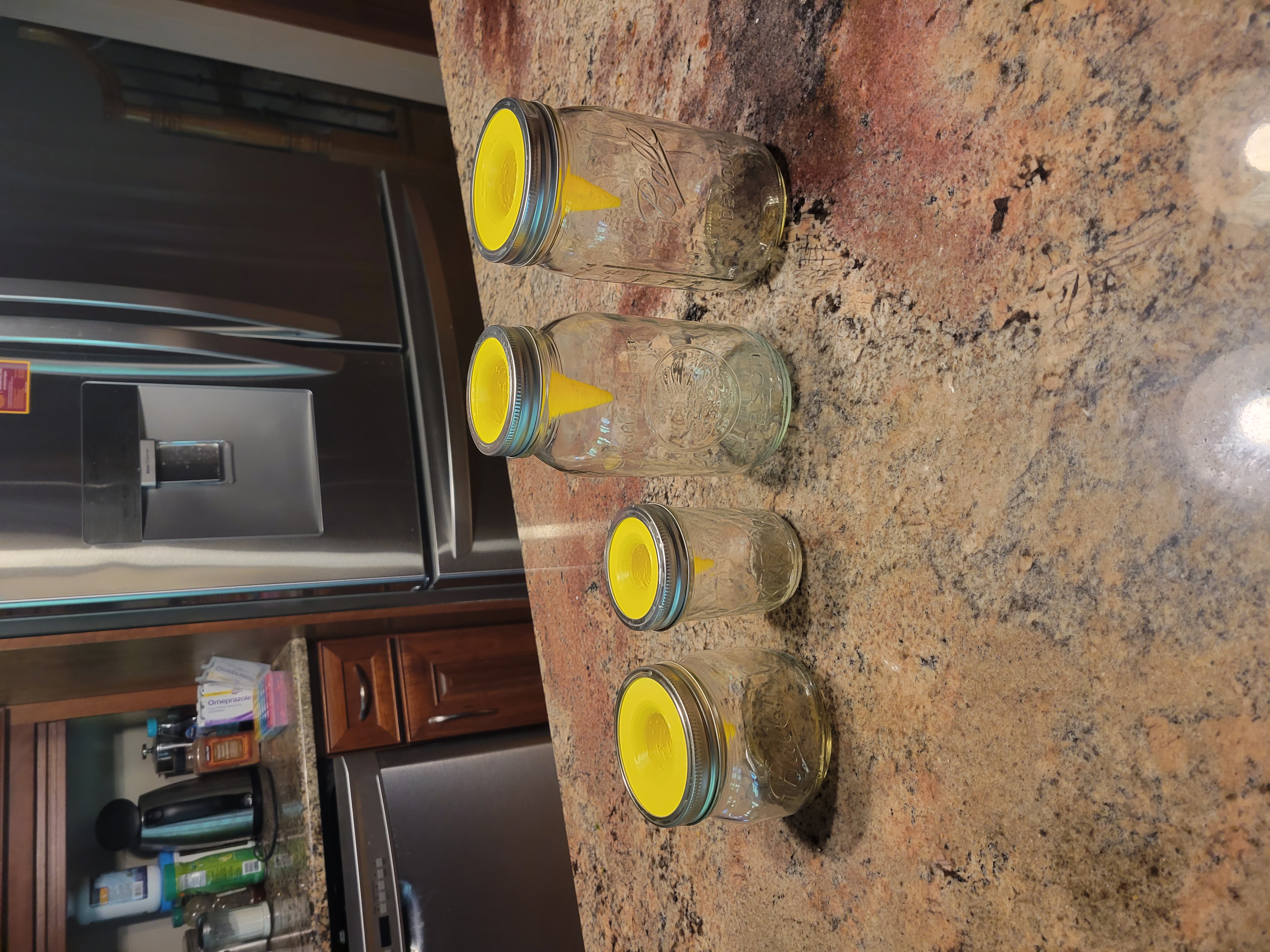 Mason jar fruit fly trap (wide mouth and regular mouth, for both quart and half pint jars)