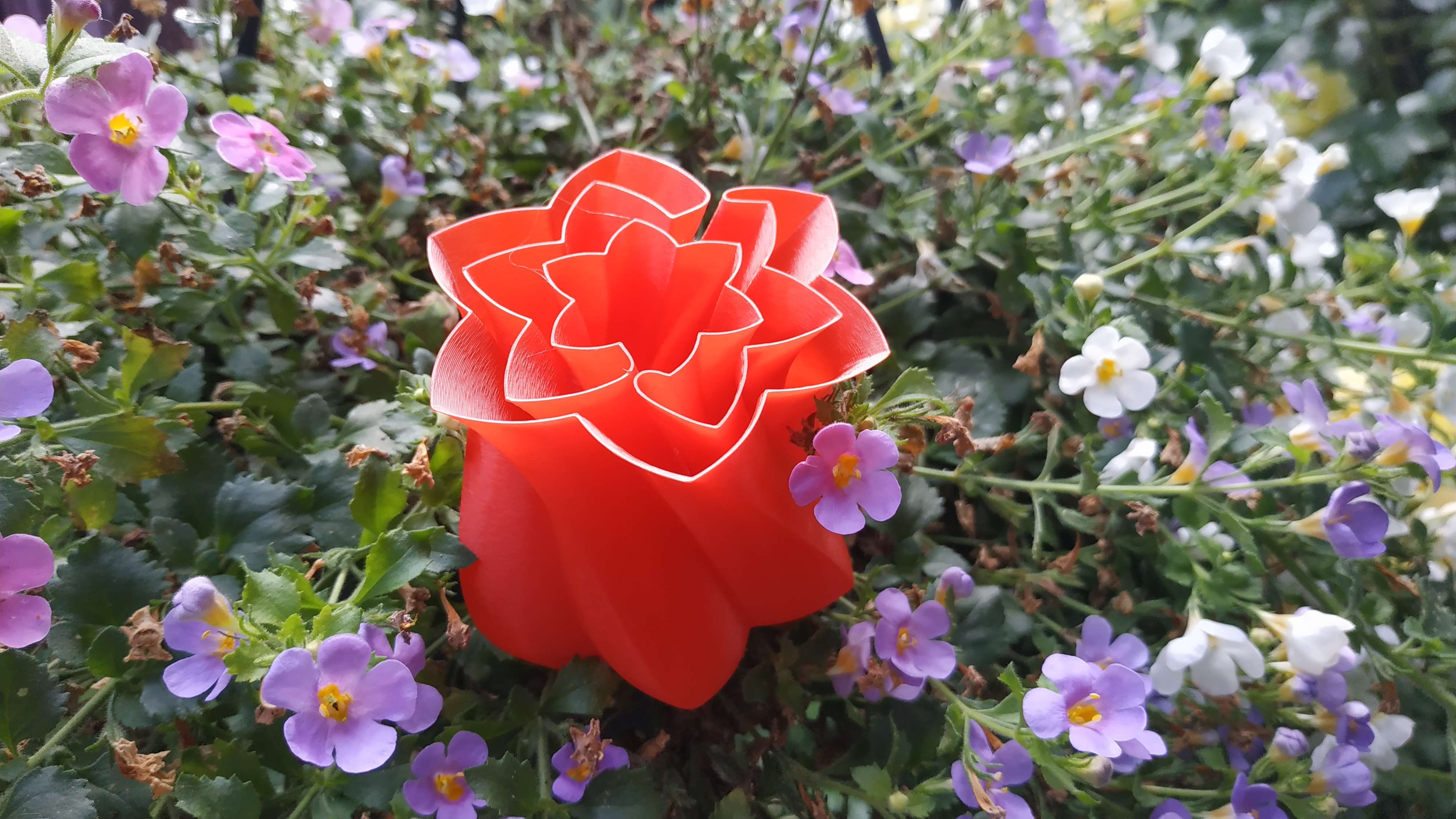 Vase mode flower