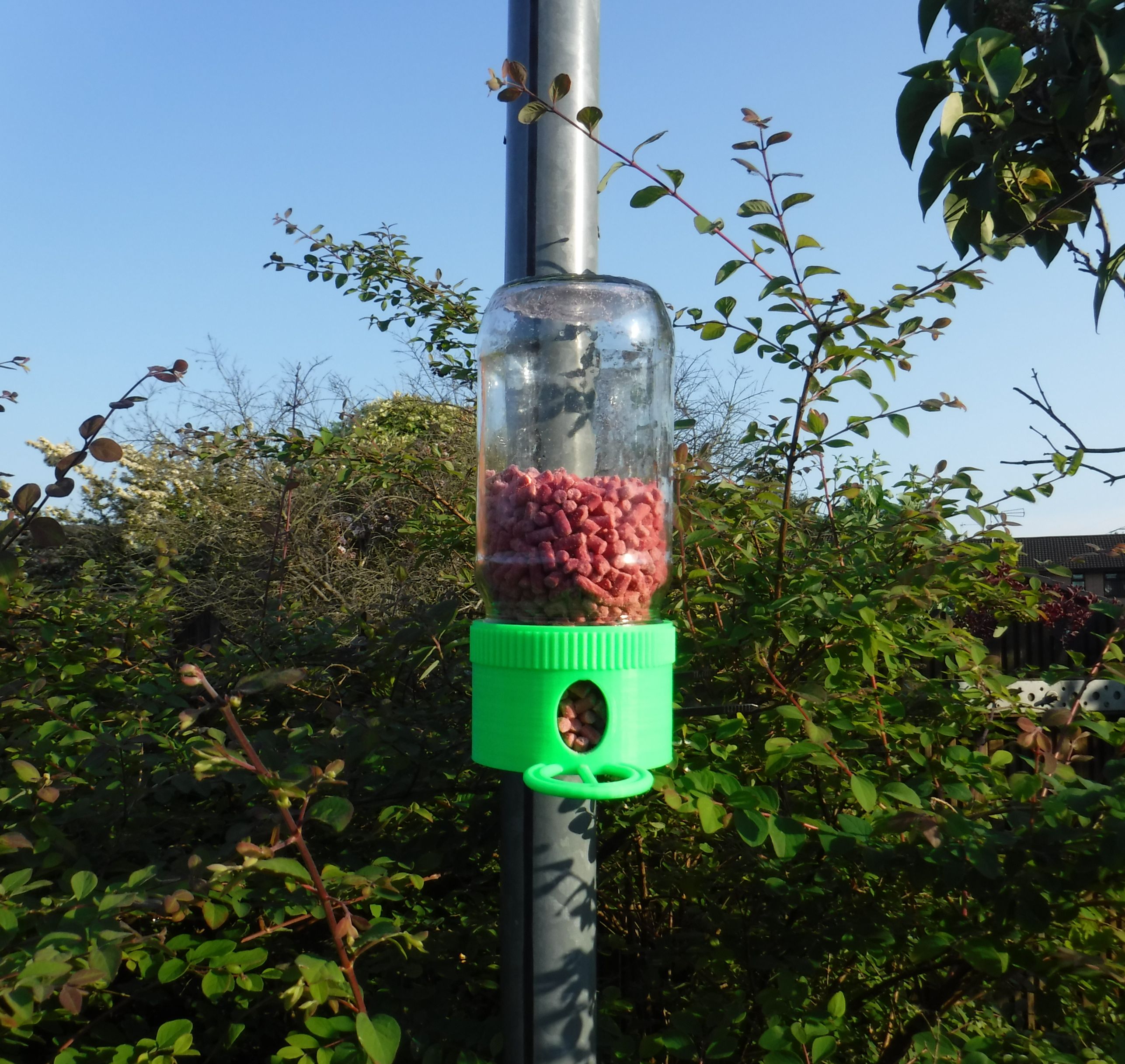 Pickle Jar Bird Feeder Lid