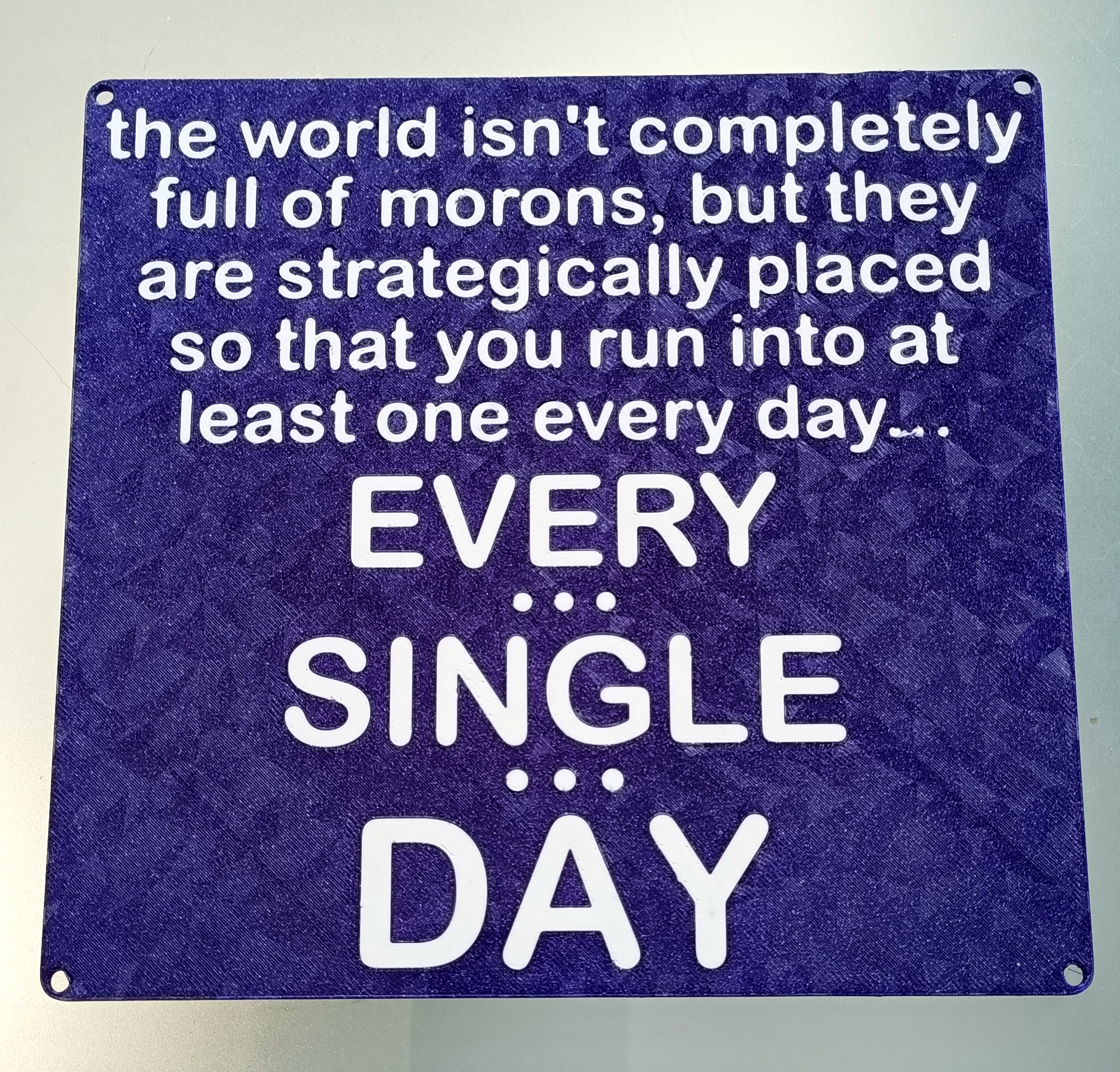 Funny Sign - "The world isn't completely full of morons ..." - dual colour design