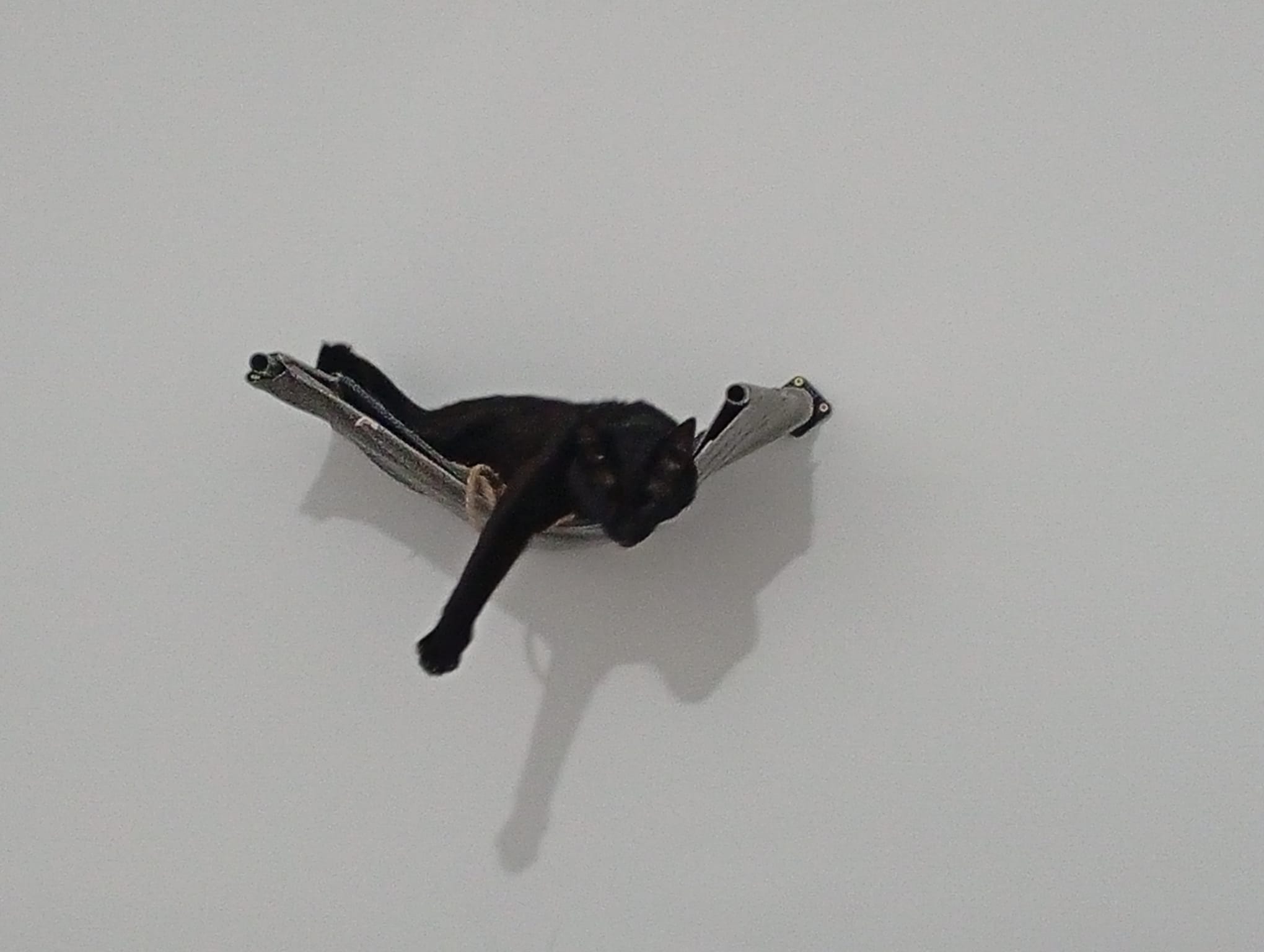 Miniatura 2 do modelo 3D DIY CAT SHELF BASIC +6.5KG