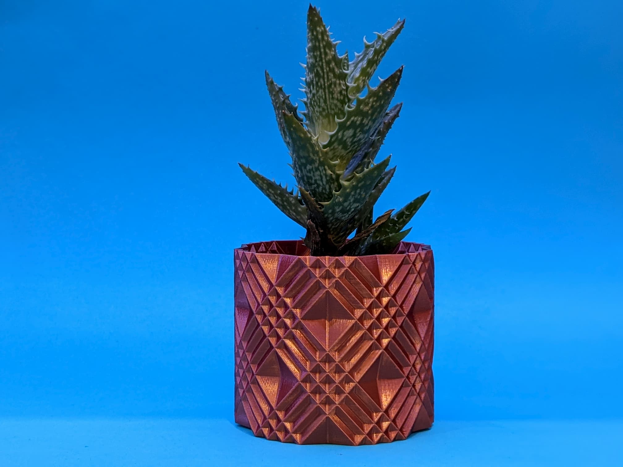 Succulent Plant Pot / Planter "Florence"