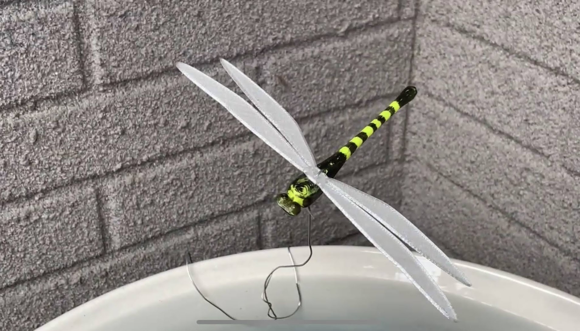 OniyanmaKun オニヤンマ君 Dragonfly