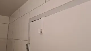 Door Hook