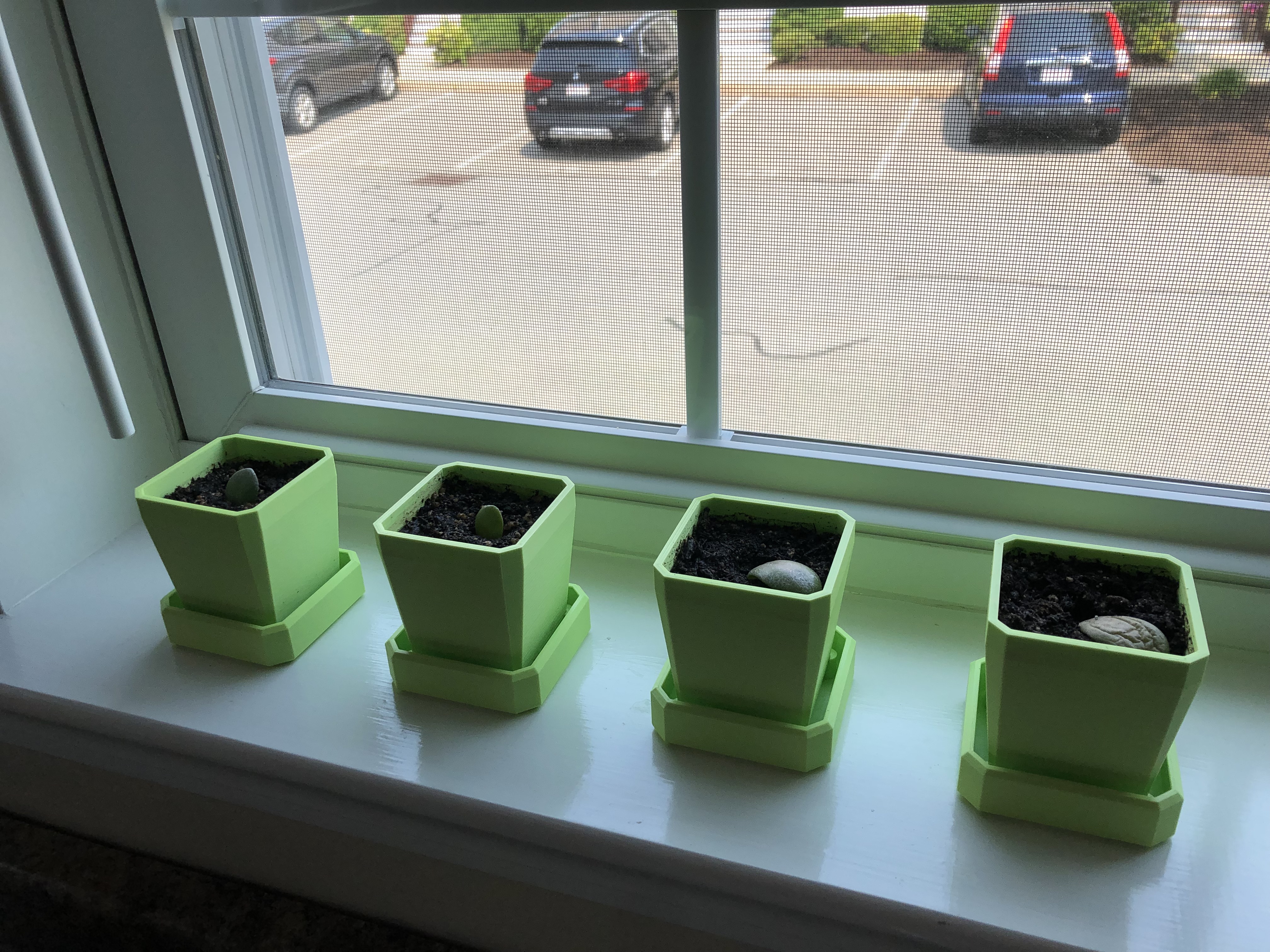 Succulent Pot/Planter