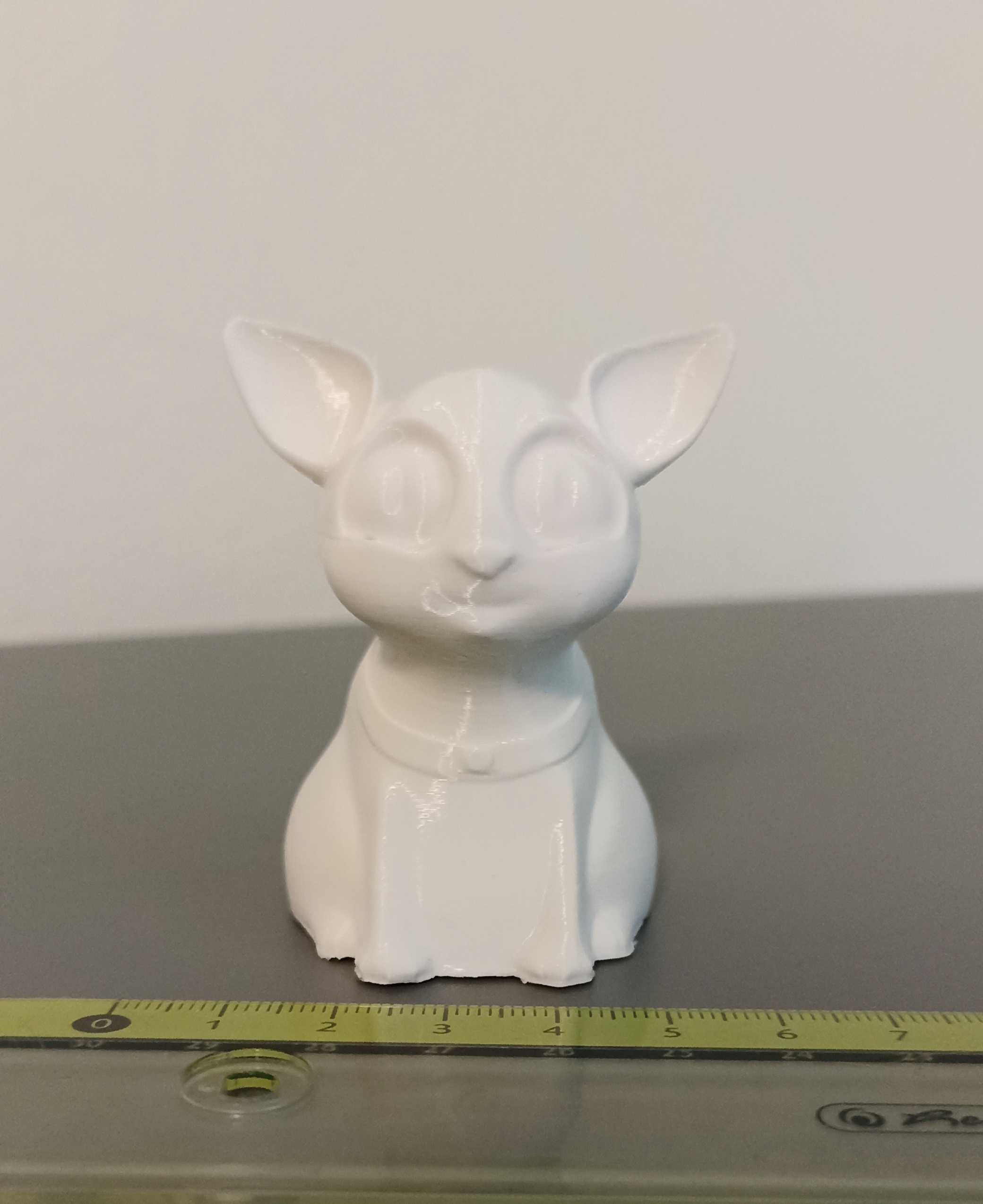cute cat
