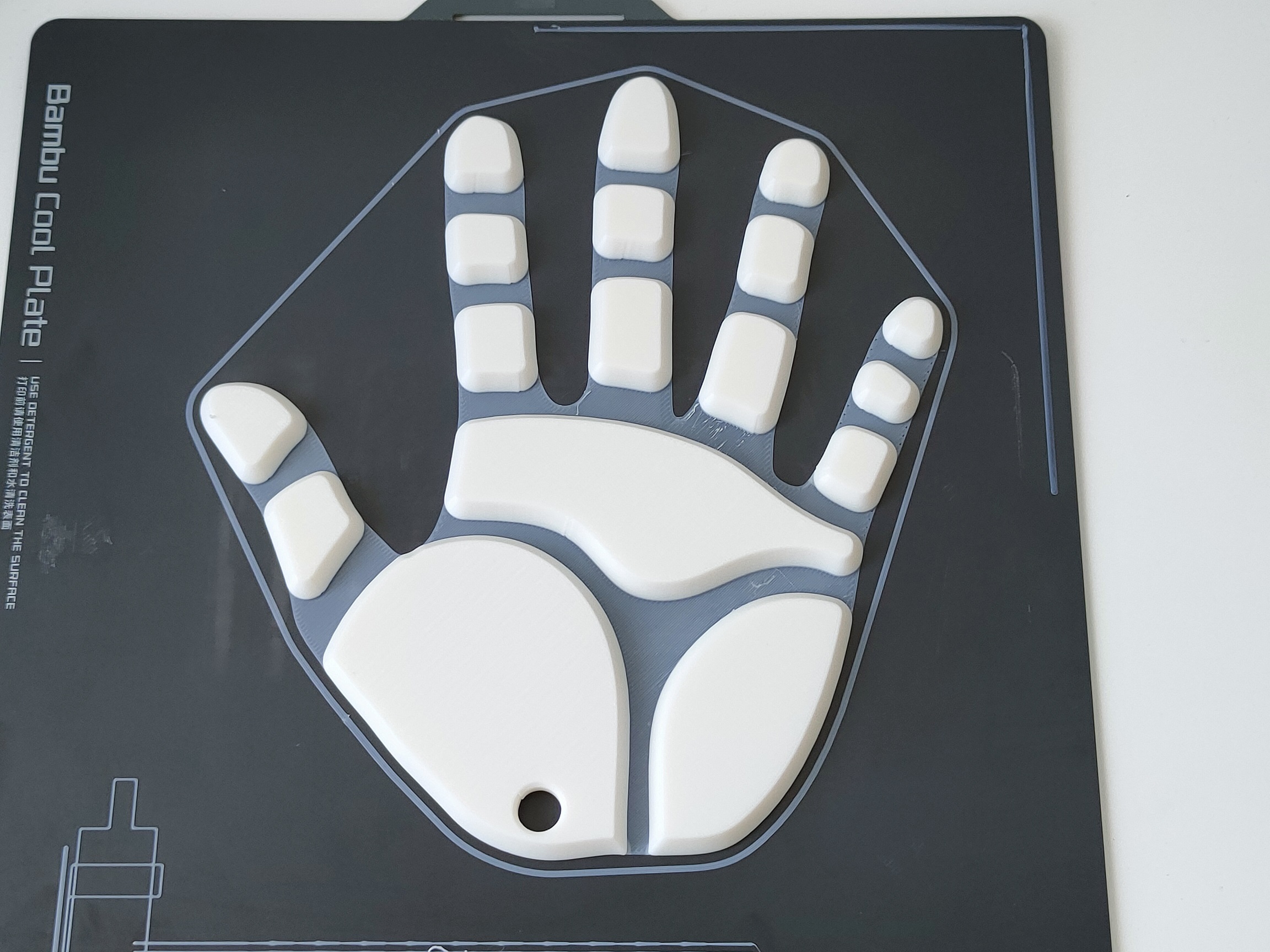 Need a hand? Flexible Hand / Fingers
