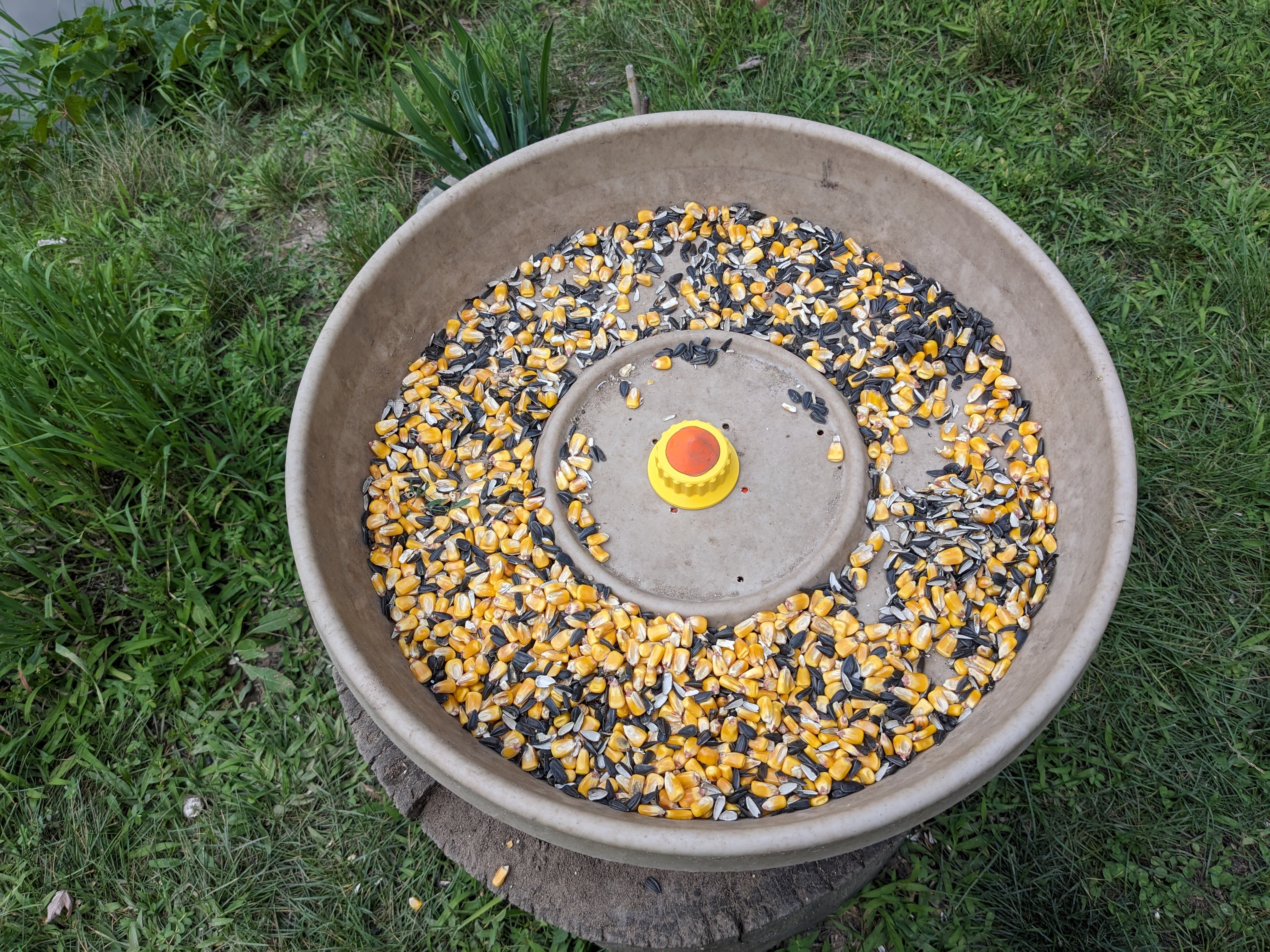 Hold Down Post for Bird Feeder Tray (Planter Saucer)
